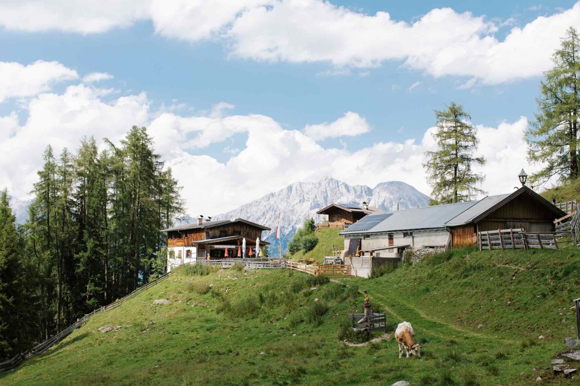 Die Pfaffenhofer Alm liegt auf 1.694m Höhe.