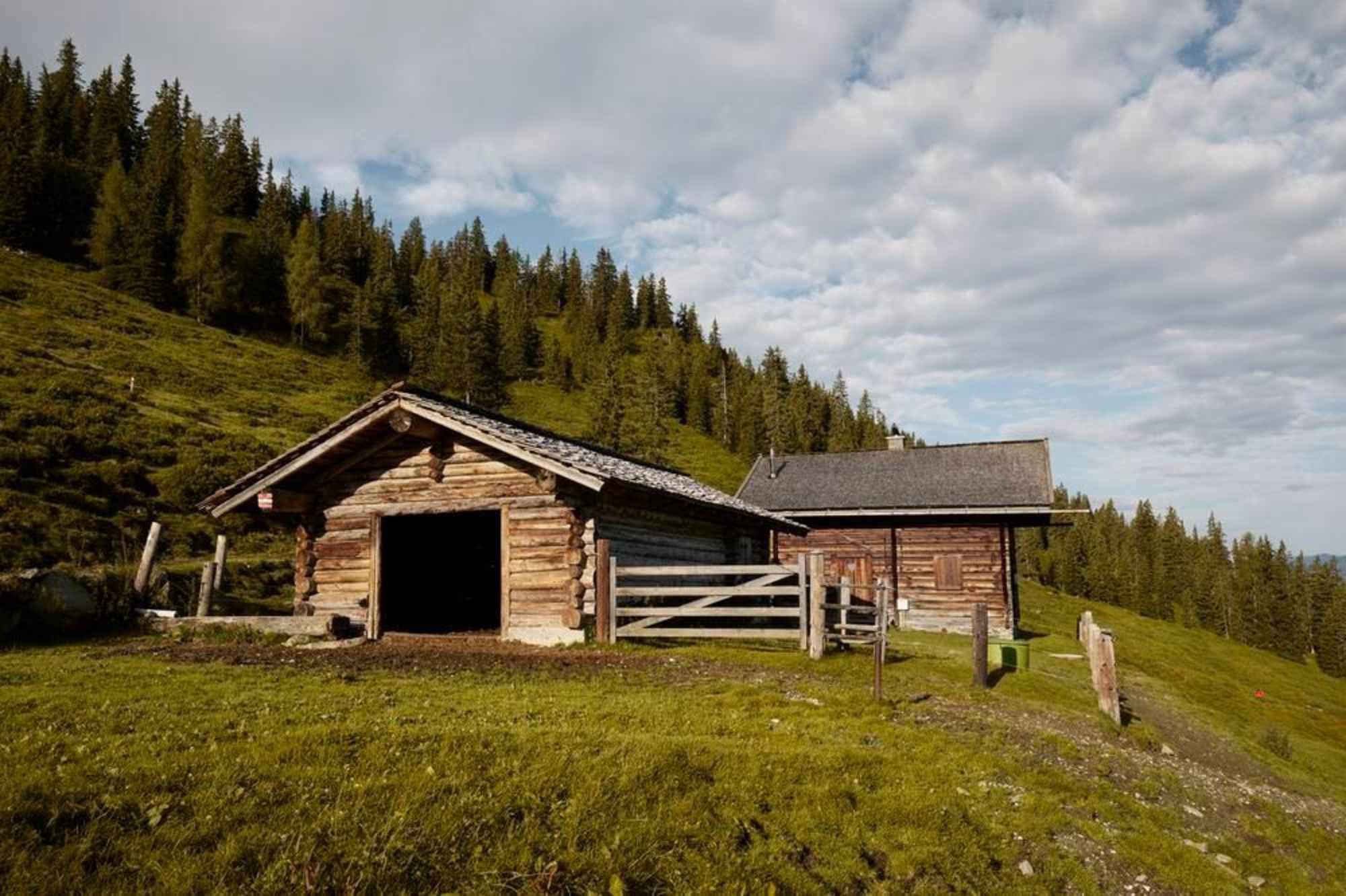 Die Pölsneralm