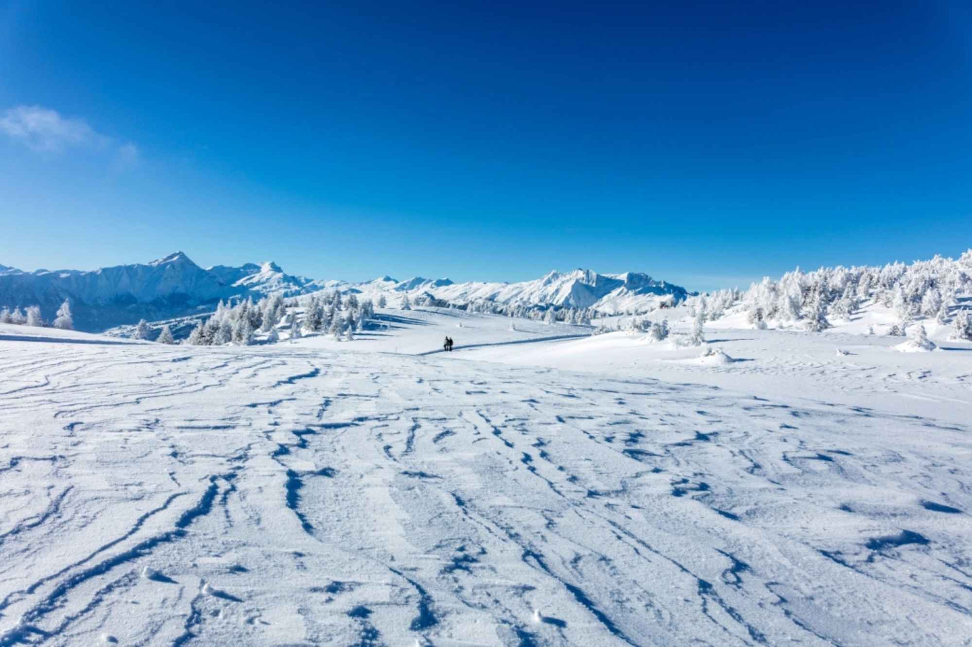 Herrliche Winterstimmung auf der Hochebene Dreibündenstein