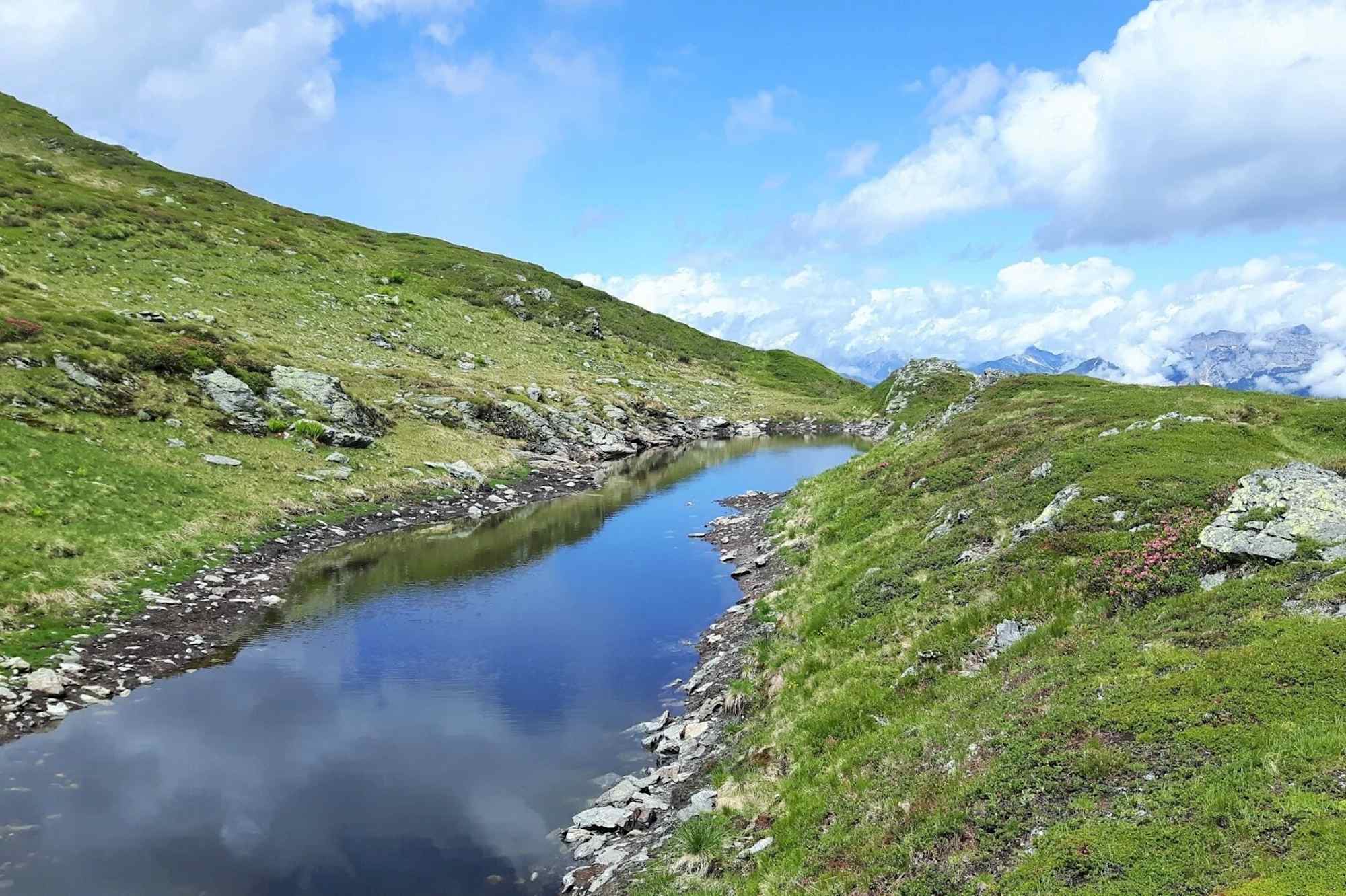 Blick vom Standkopf Richtung Wiedersberger Horn