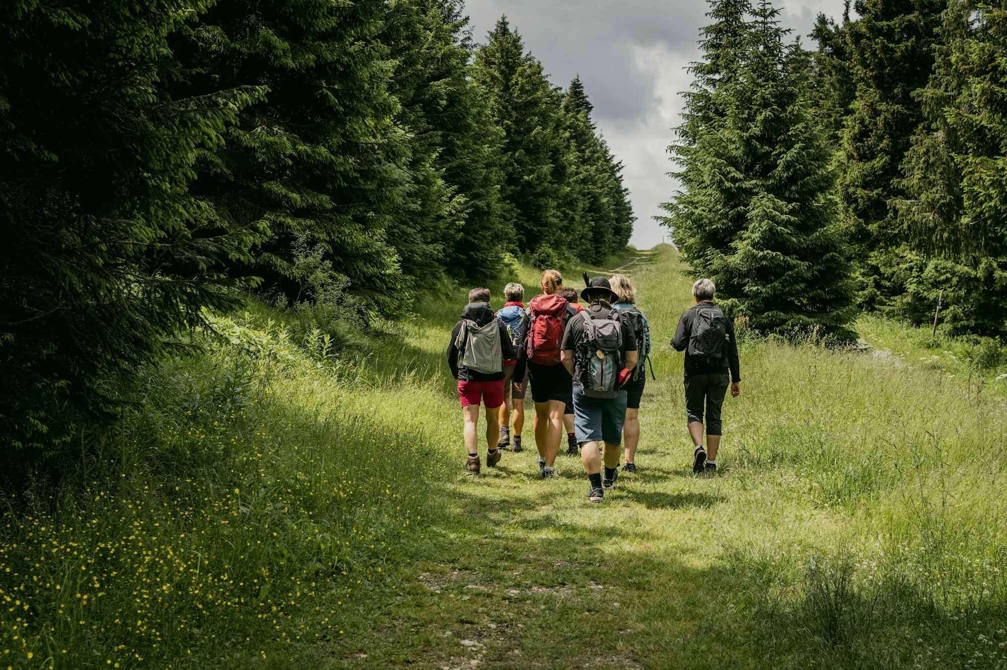 Auf dem Kammweg beim Fichtelberg