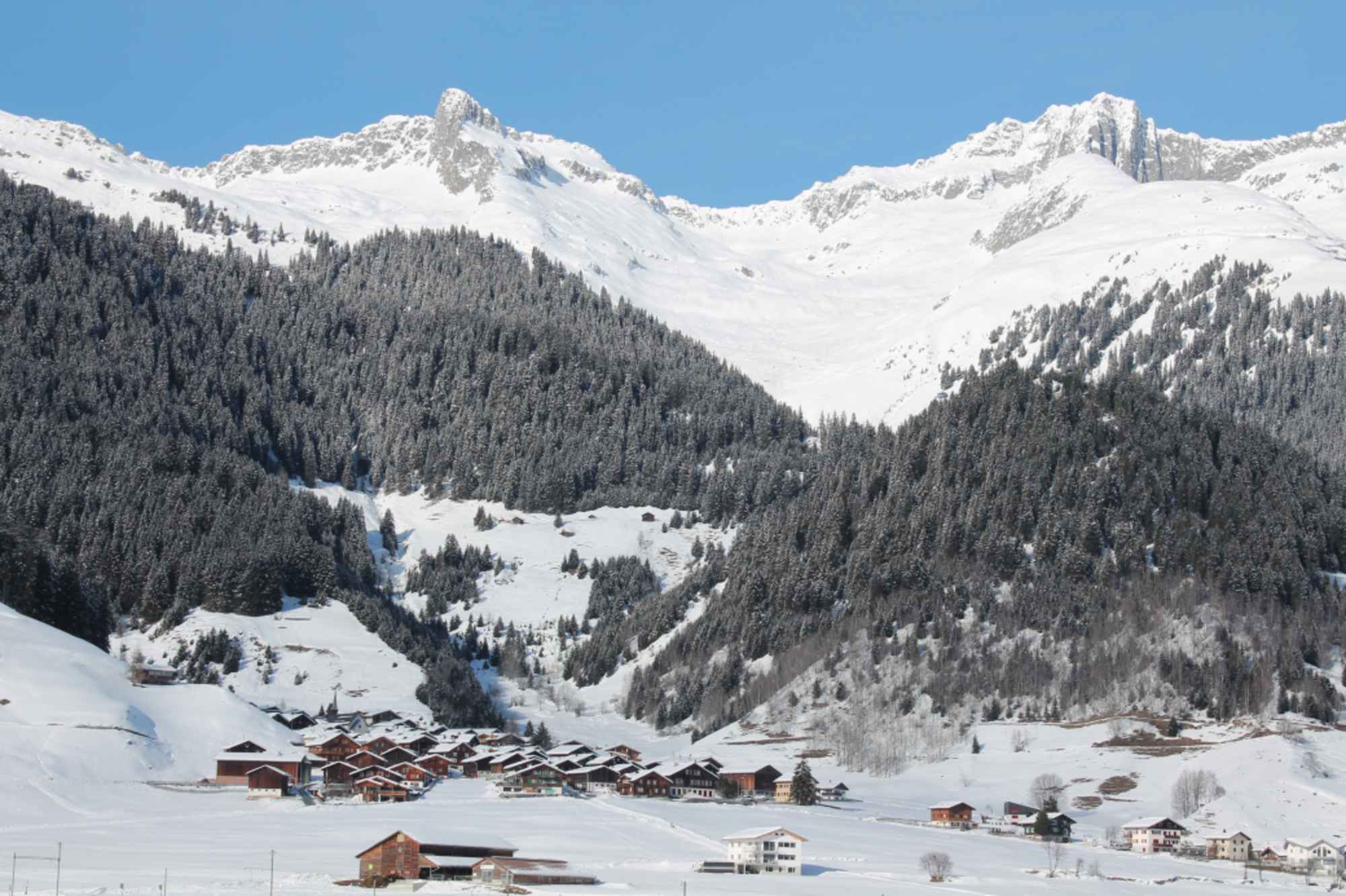Blick auf Segnas