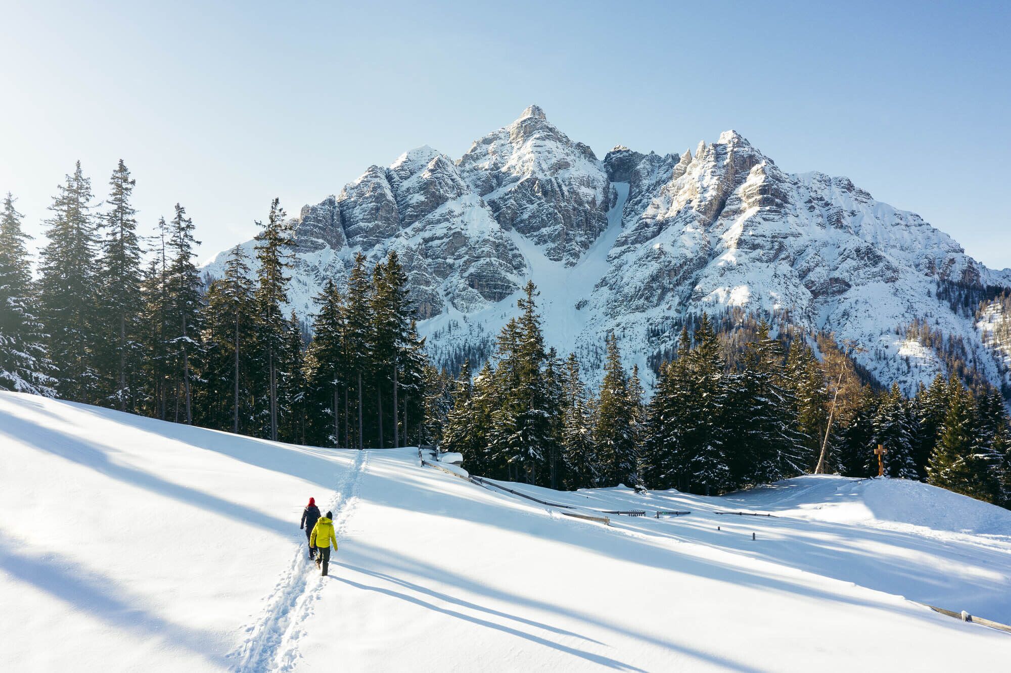 Im Angesicht der Serles - Winterwanderung Waldraster Jöchl