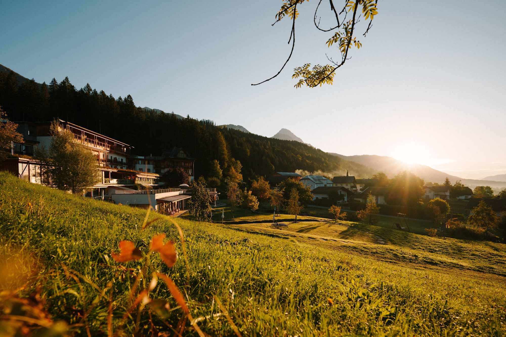 der daberer. das biohotel