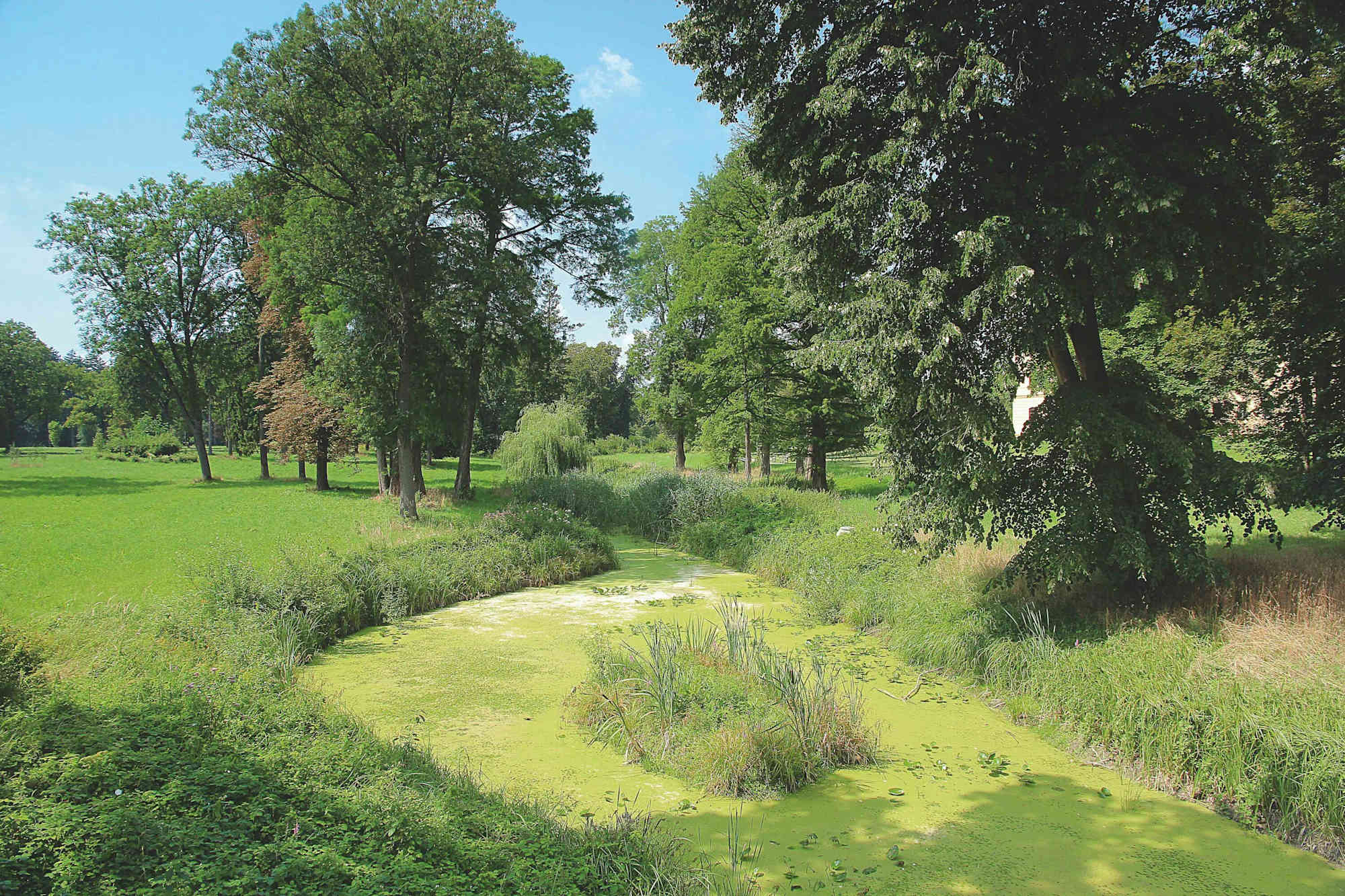 Schlosspark Eckartsau