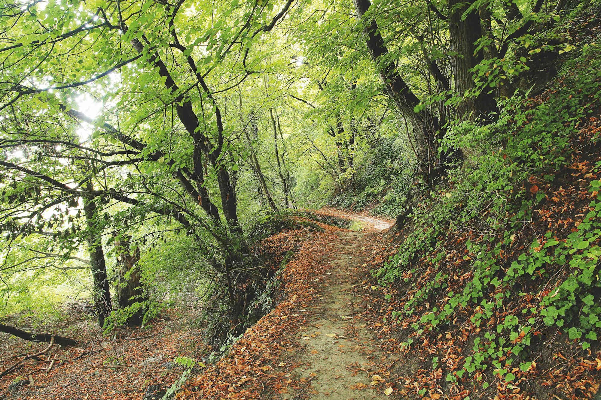 Wanderweg Hainburg