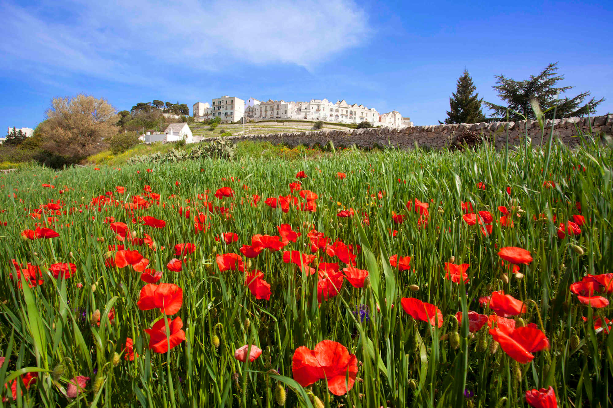 Puglia Bari, Provincia Locorotondo 