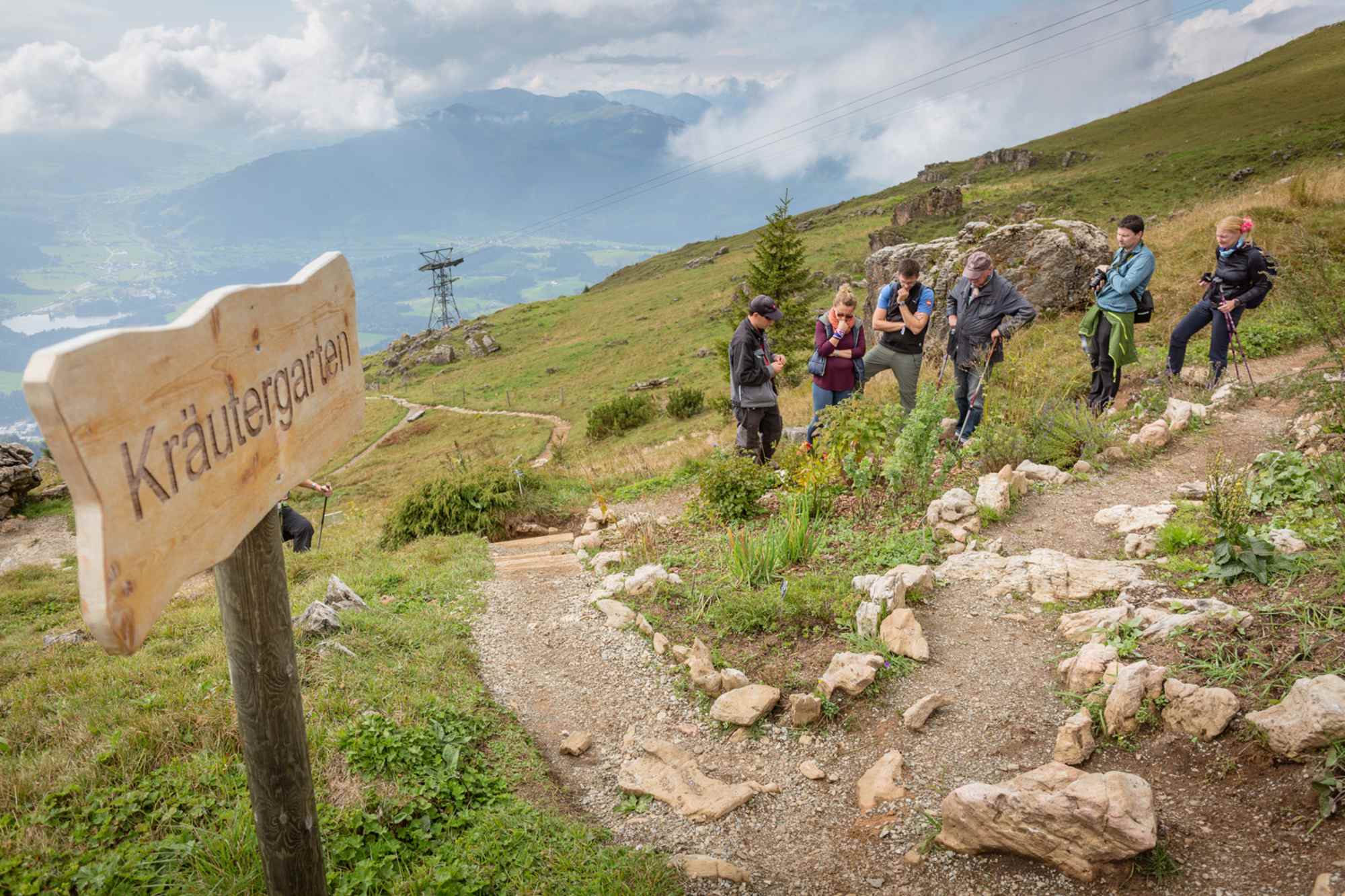 Alpenblumengarten Kitzbühel