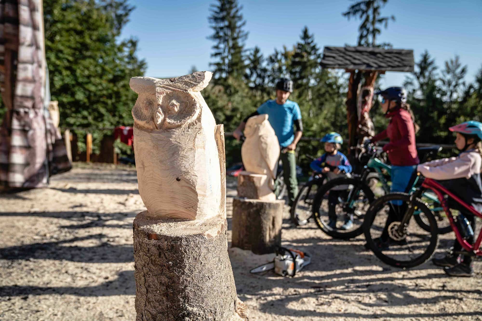 Aus Holz geschaffene Kunstwerke