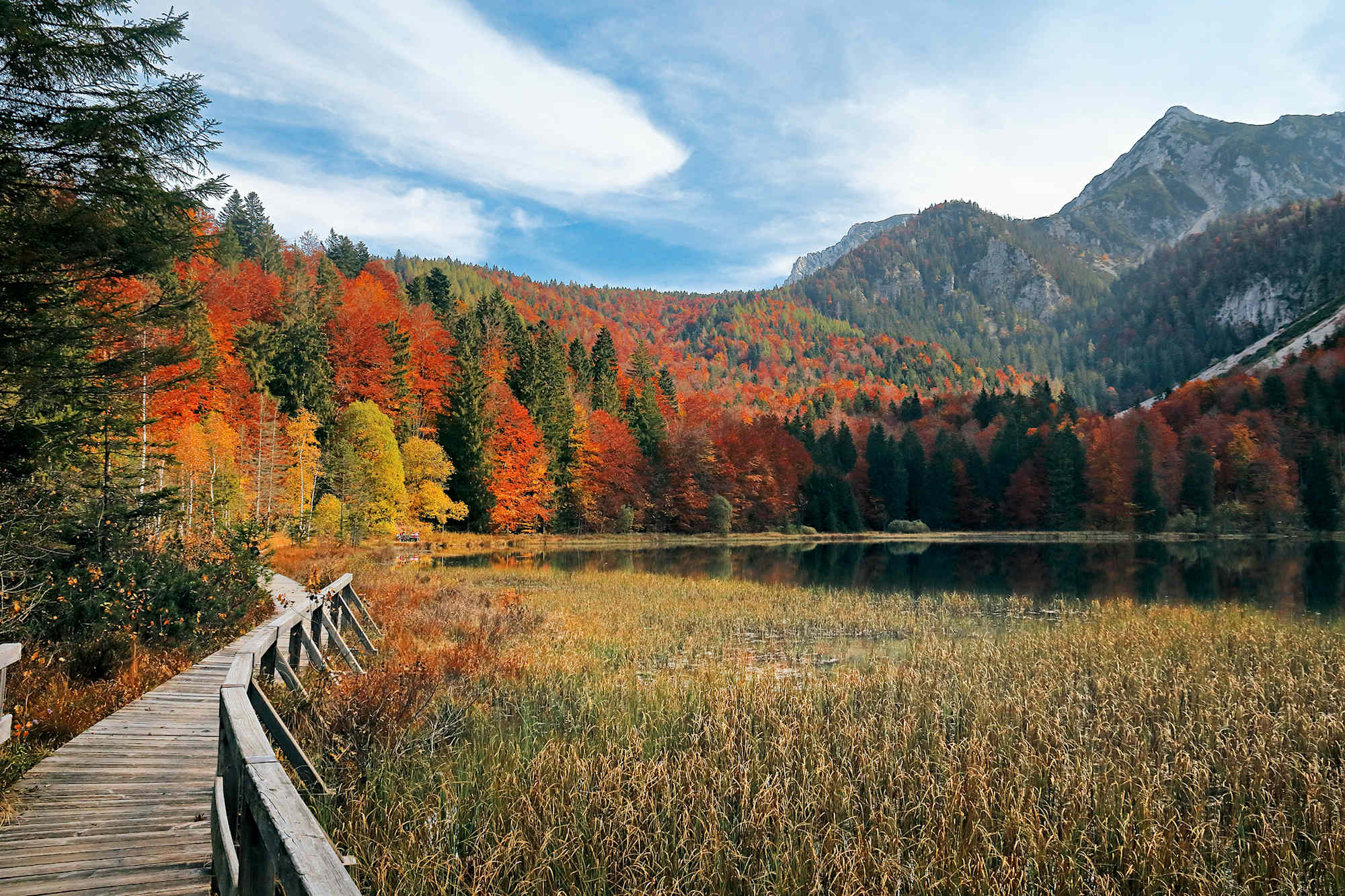 Bohlenweg am Frillensee