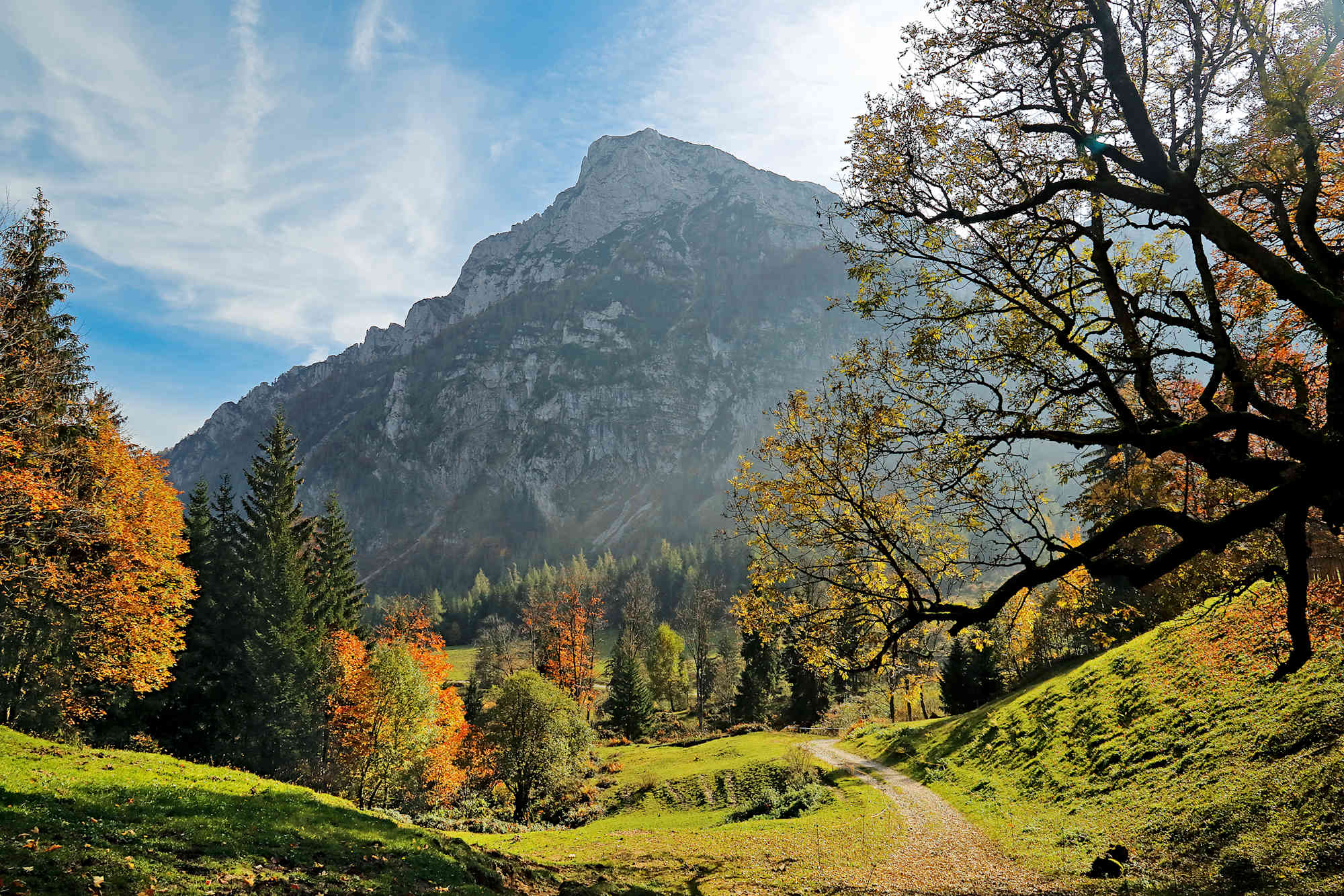 Direkt über der Steiner Alm ragt der Hochstaufen in den Himmel.