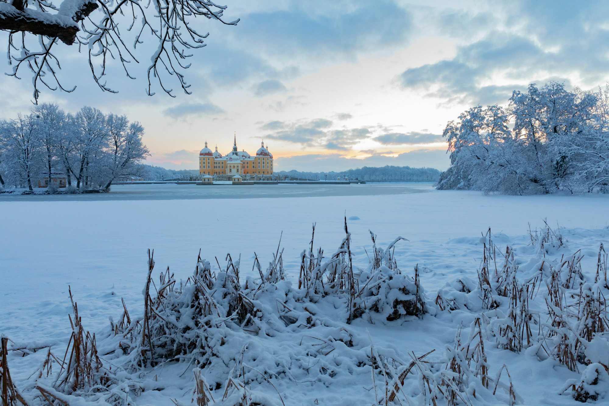 Schloss Moritzburg inmitten der zugefrorenen Teichlandschaft