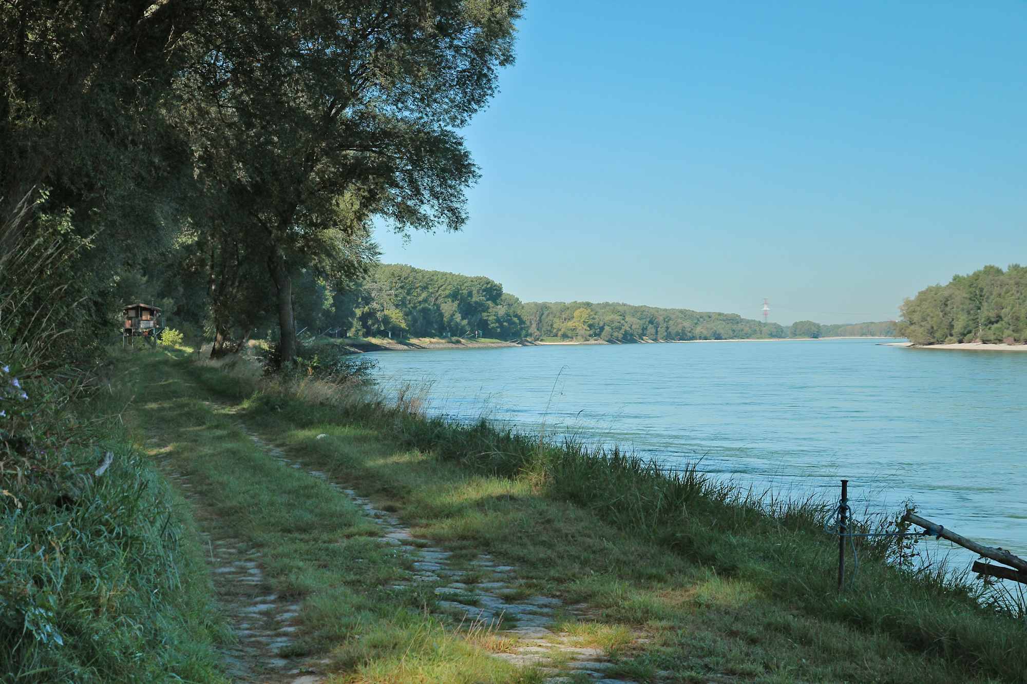 Wanderweg entlang der Donau bei Haslau