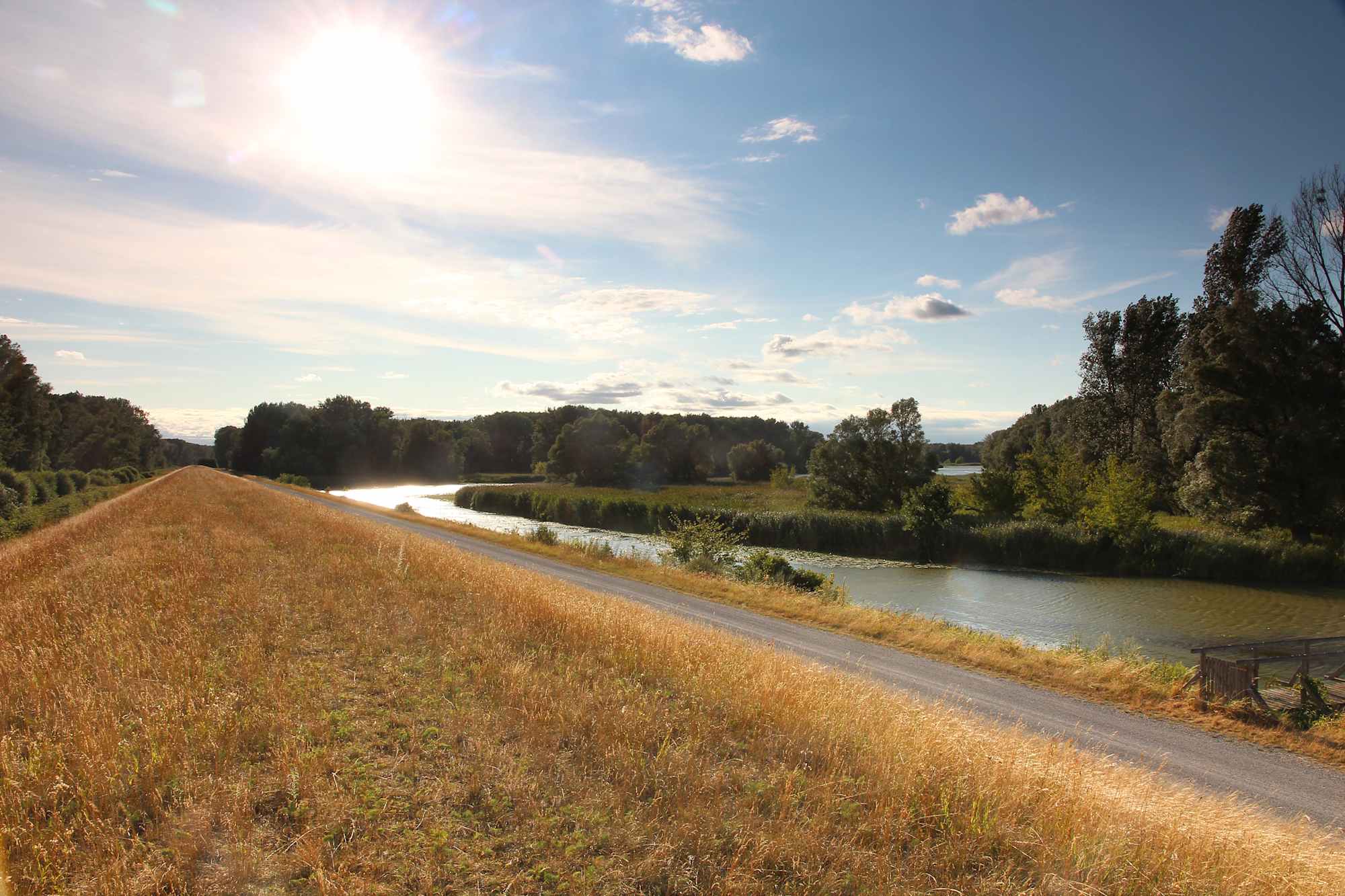 Wander- und Radweg in der Schönau