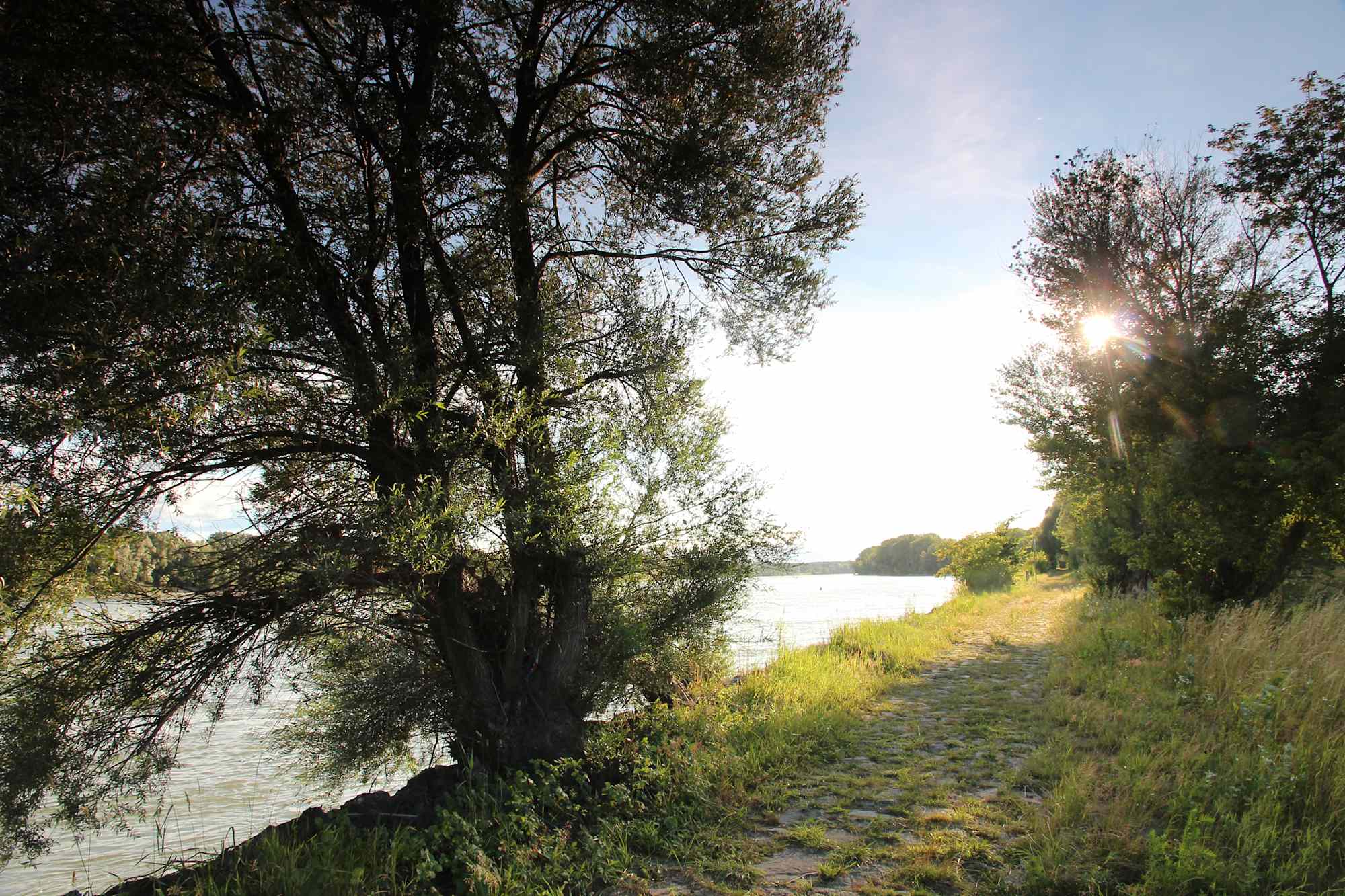 Wanderweg in der Schönau