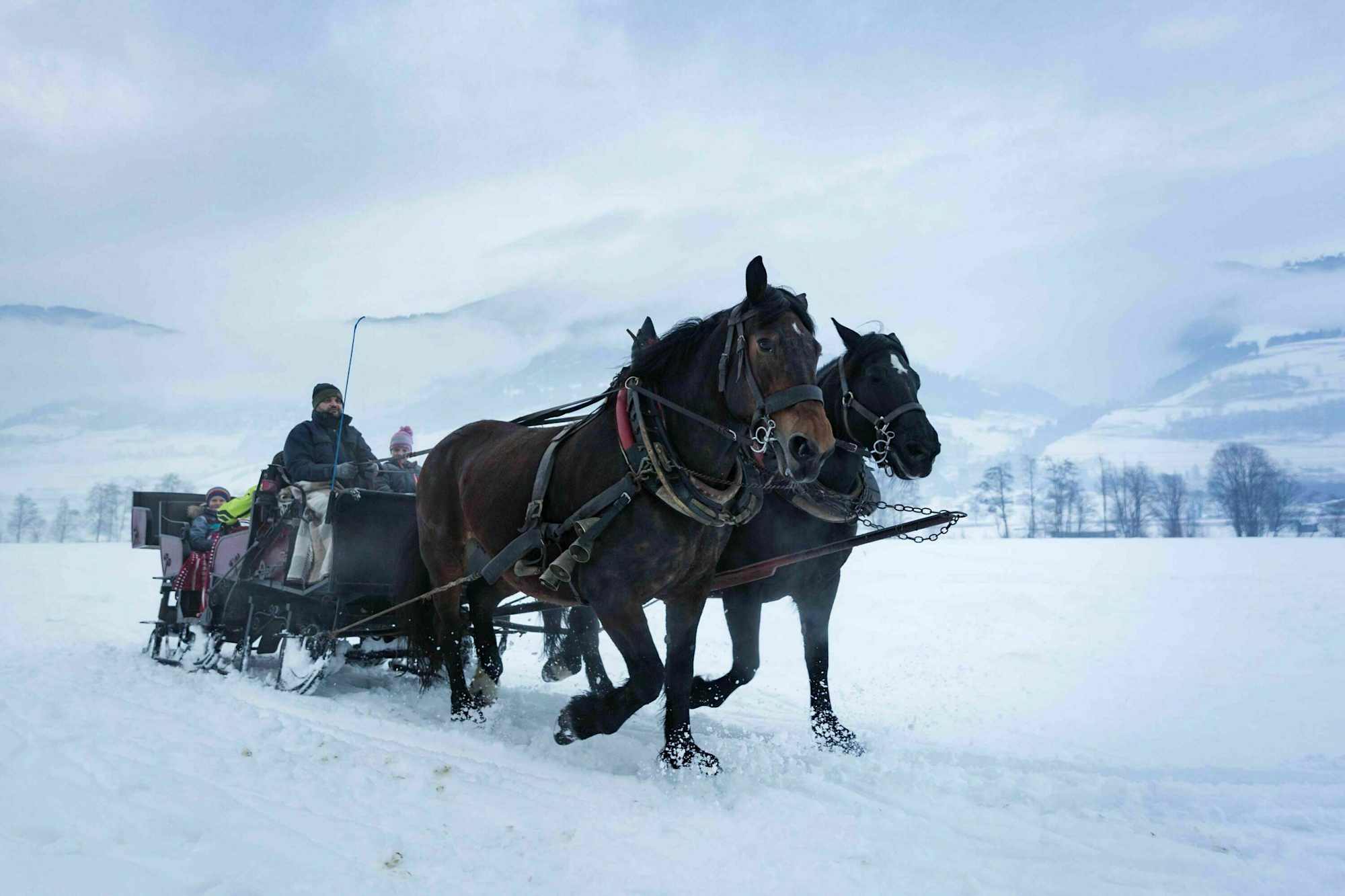 Romantische Pferdeschlittenfahrt