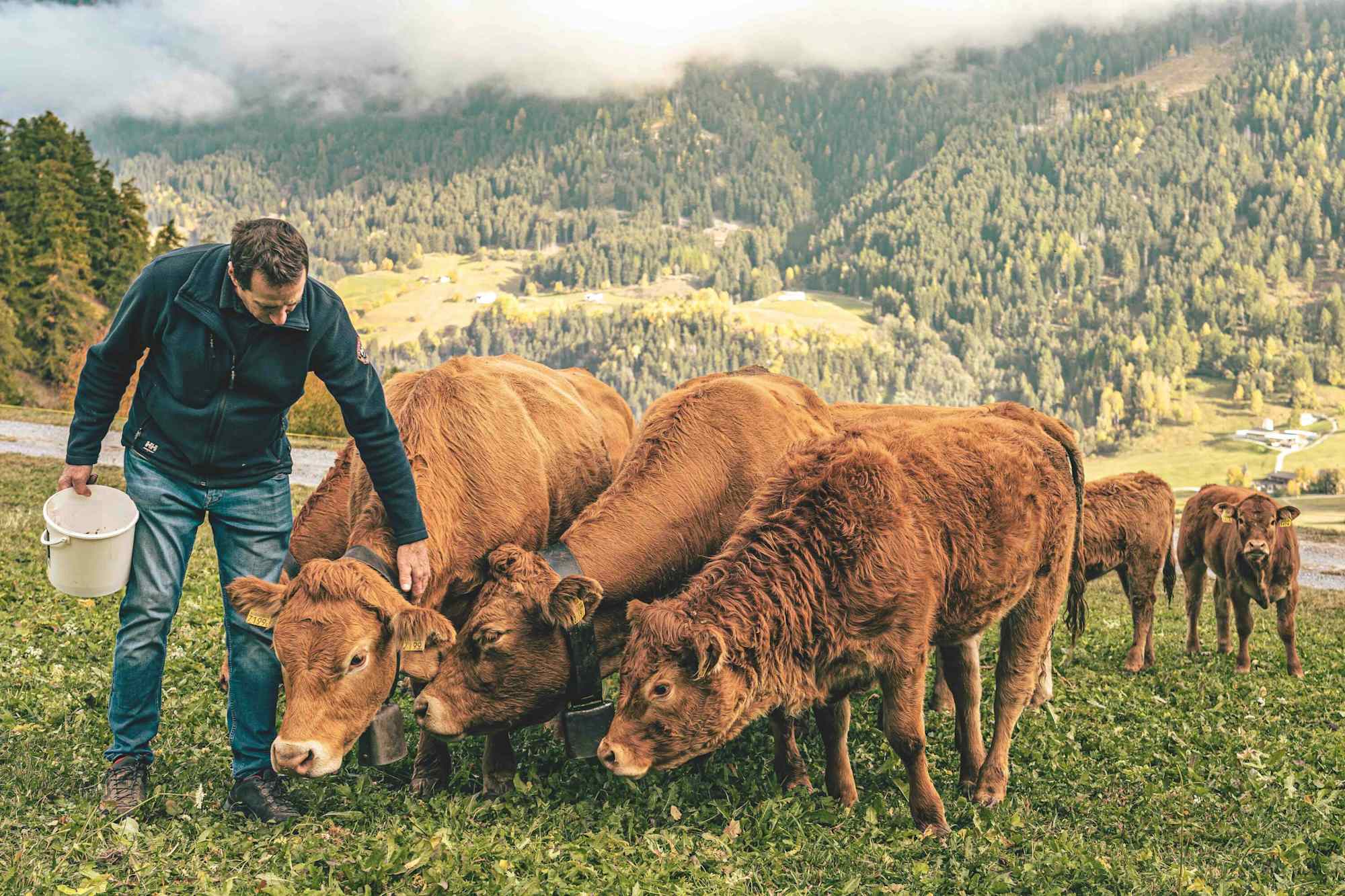 Familie Lamprechter bewirtschaften ihren Biohof mit viel Liebe.