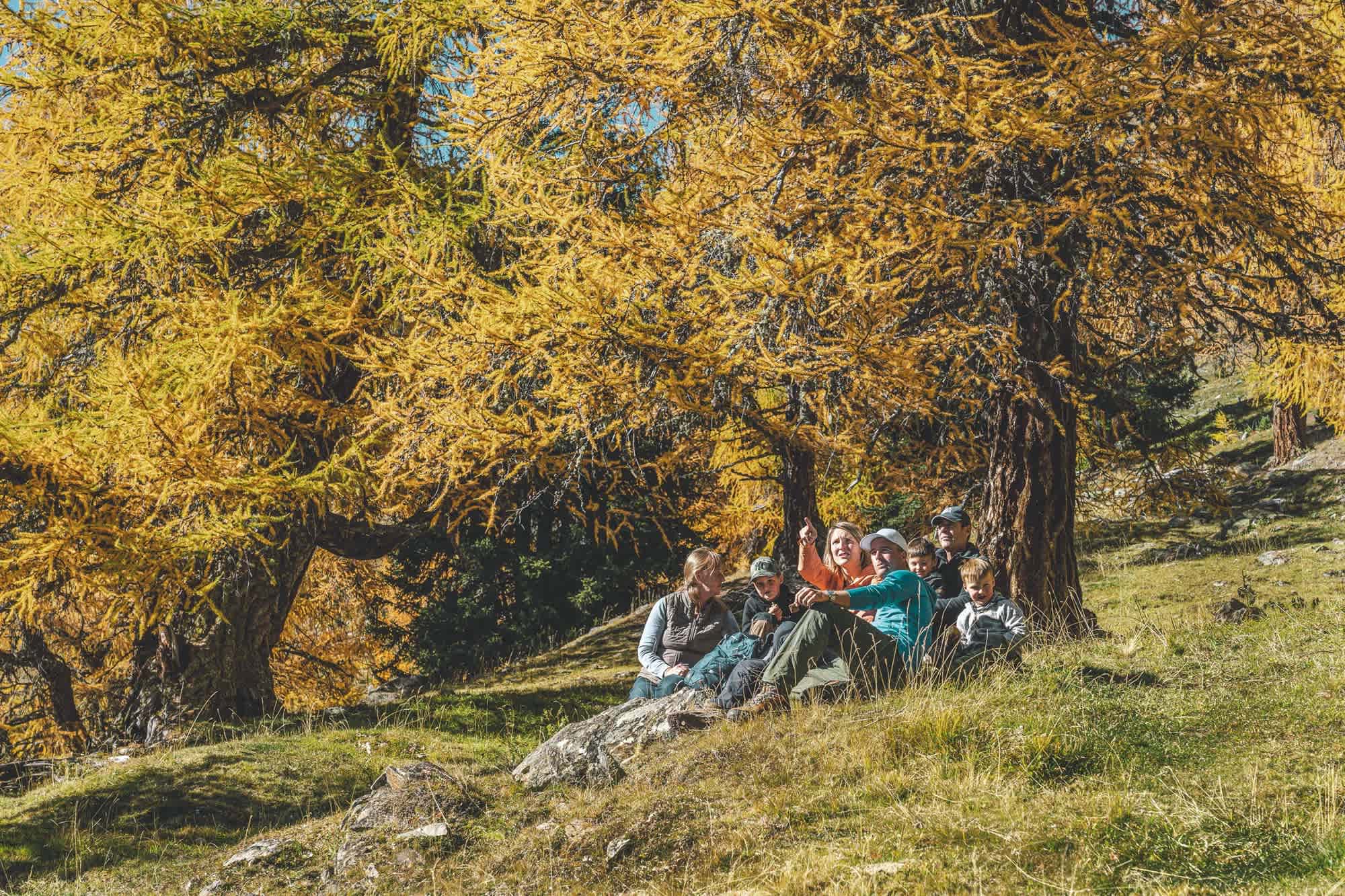 Rast unter einer der goldenen Lärchen im Val Müstair