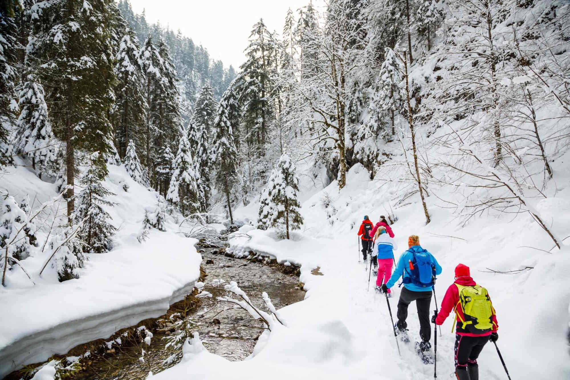 Auf Schneeschuhen entlang des Wappbaches