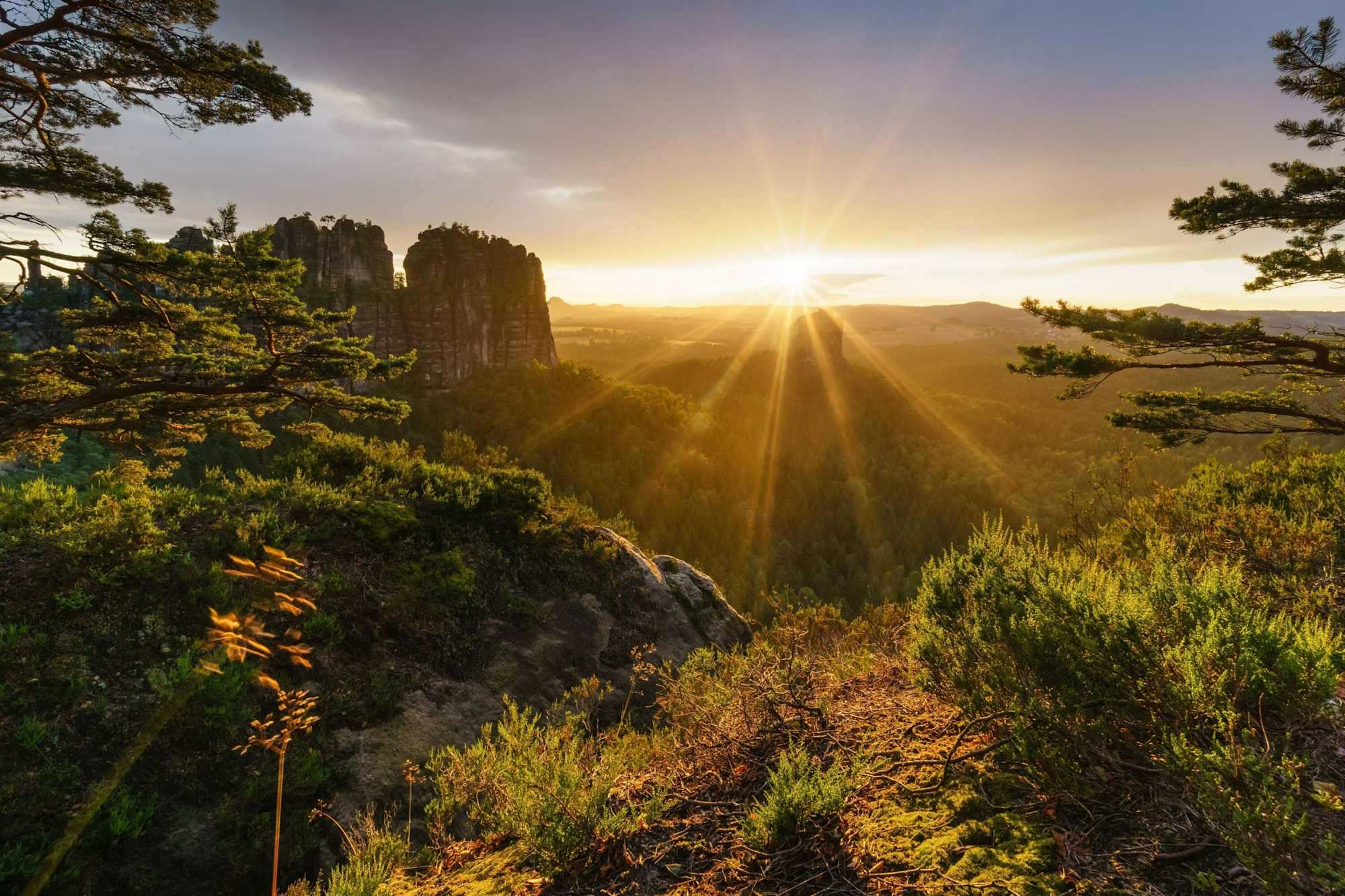 Blick auf die Torsteine im Nationalpark Sächsische Schweiz