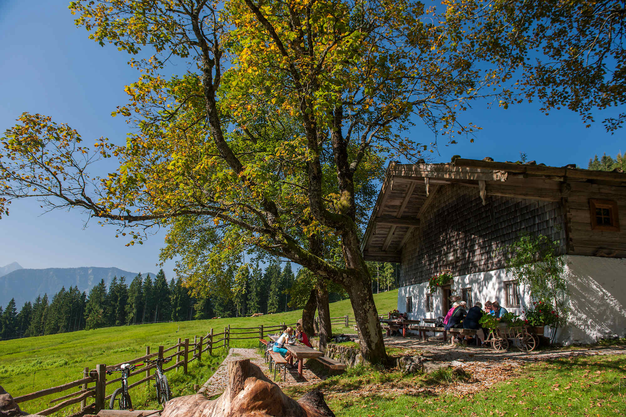 Bäckeralm