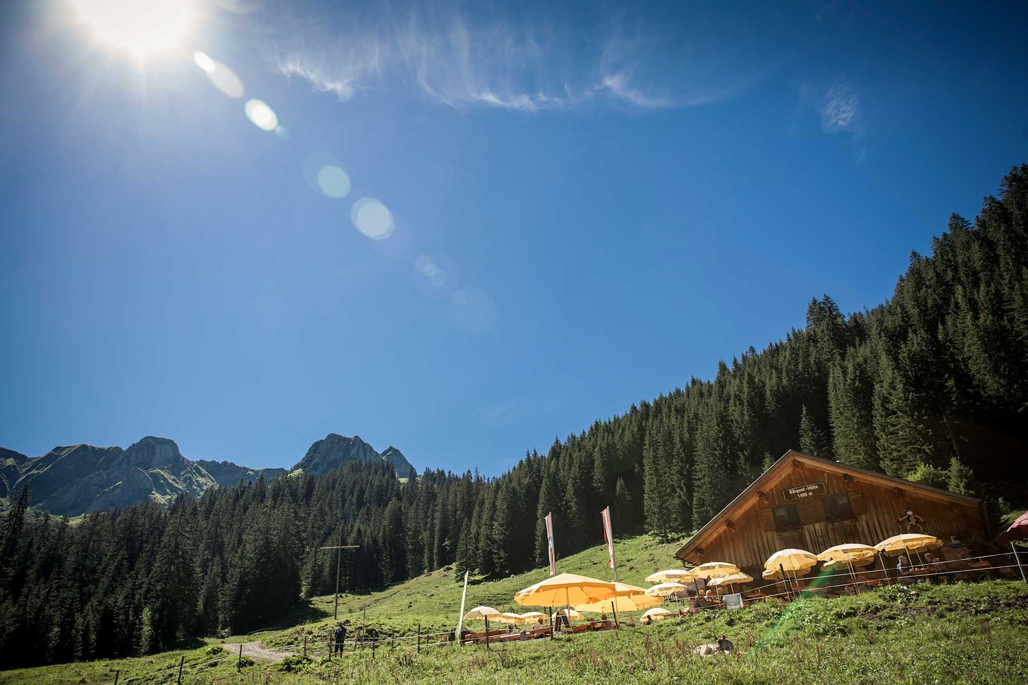 Bärgunthütte