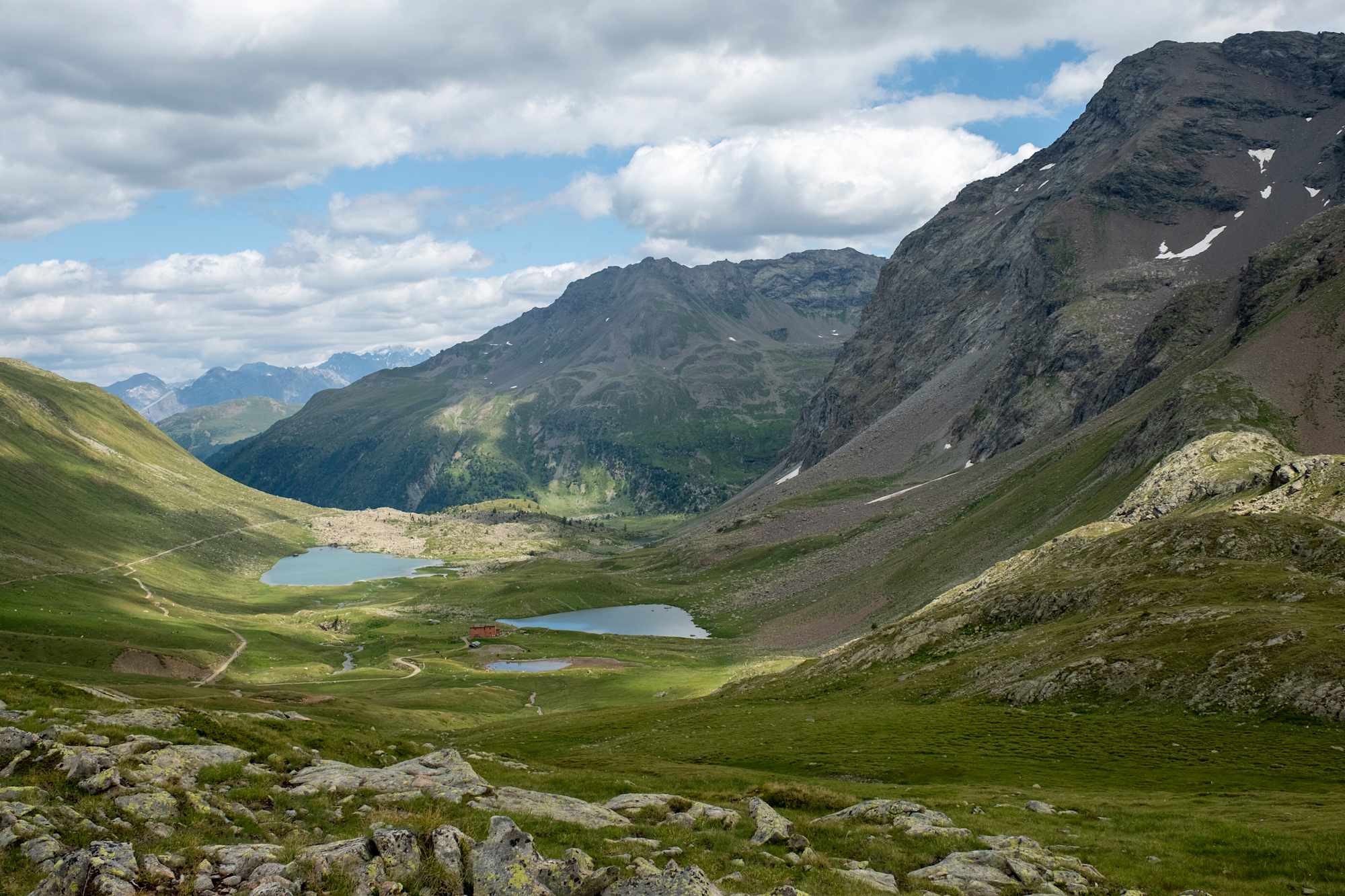 Viola Hütte
