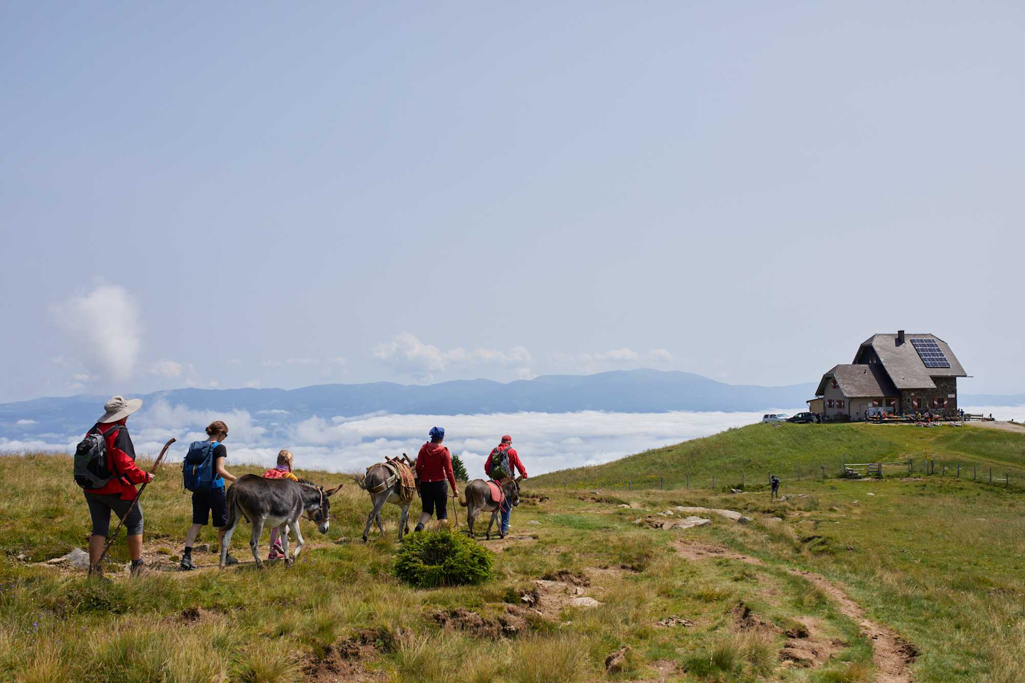 Eselwanderung zur Wolfsberger Hütte