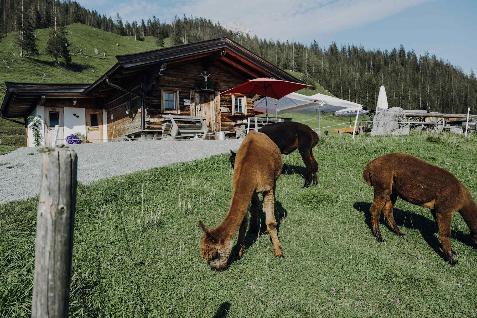 Hinterschießlingalm