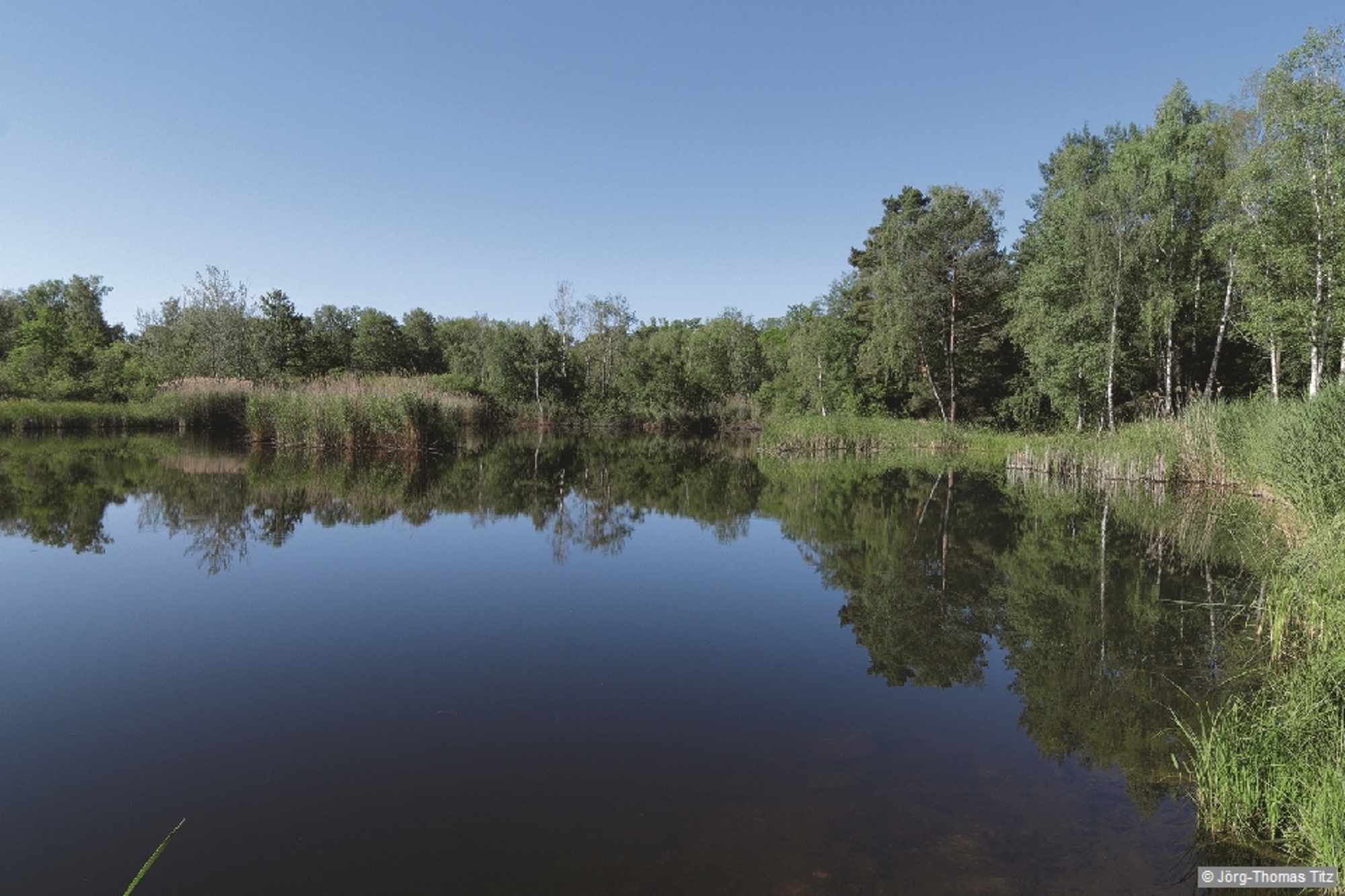 Idyllischer Weiher in der Erlebnislandschaft Erdekaut.