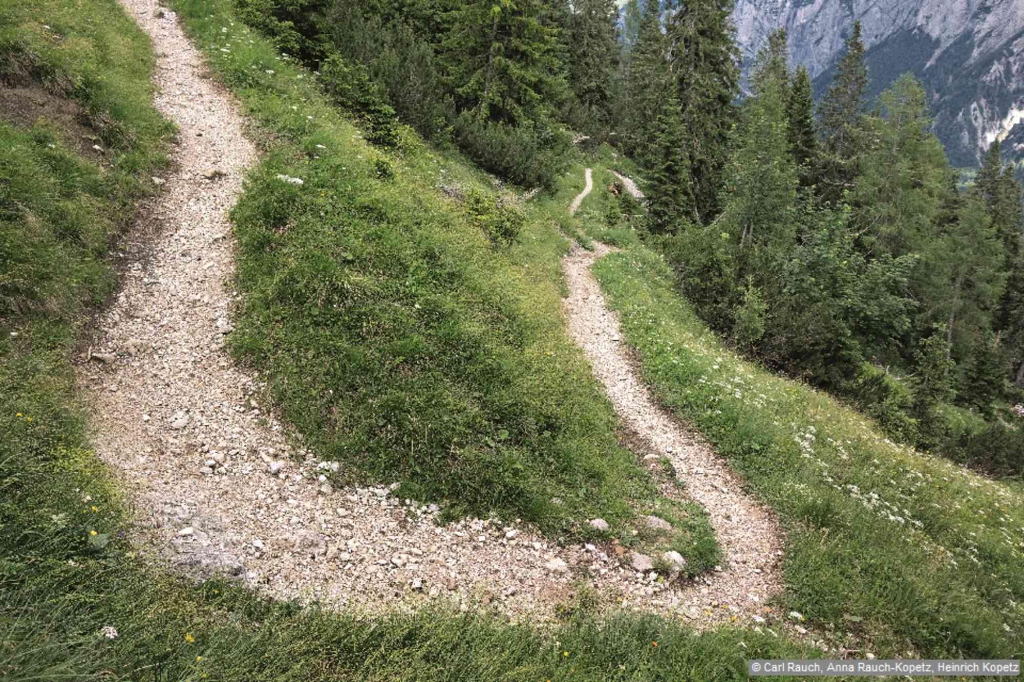 Die berühmt-berüchtigten Serpentinen kurz vor dem Buchsteinhaus: Kehre 19 mit Blick zurück auf Kehre 18.