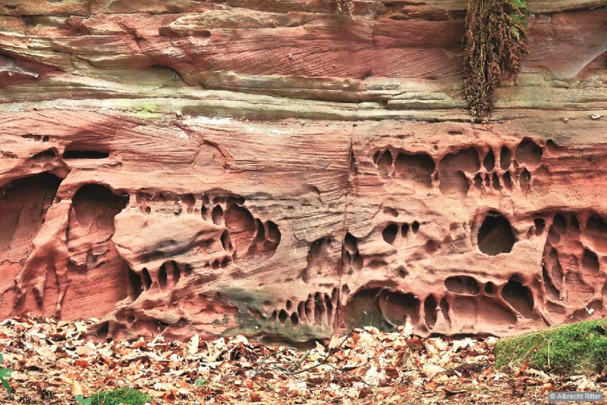 Filigrane Erosionsformen im Buntsandstein