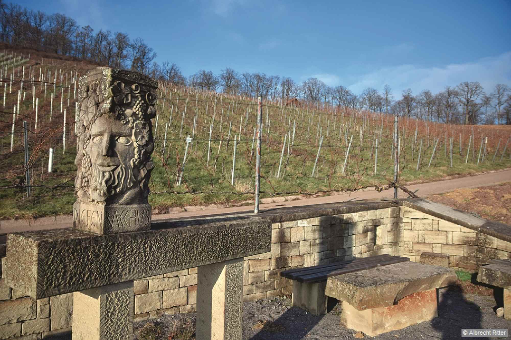 Der Weingott Bacchus