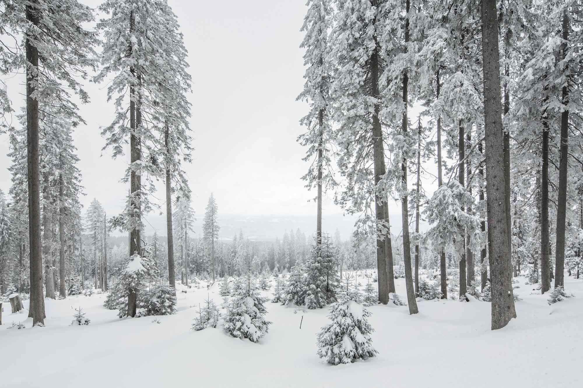 Winterlandschaft in Niederbayern