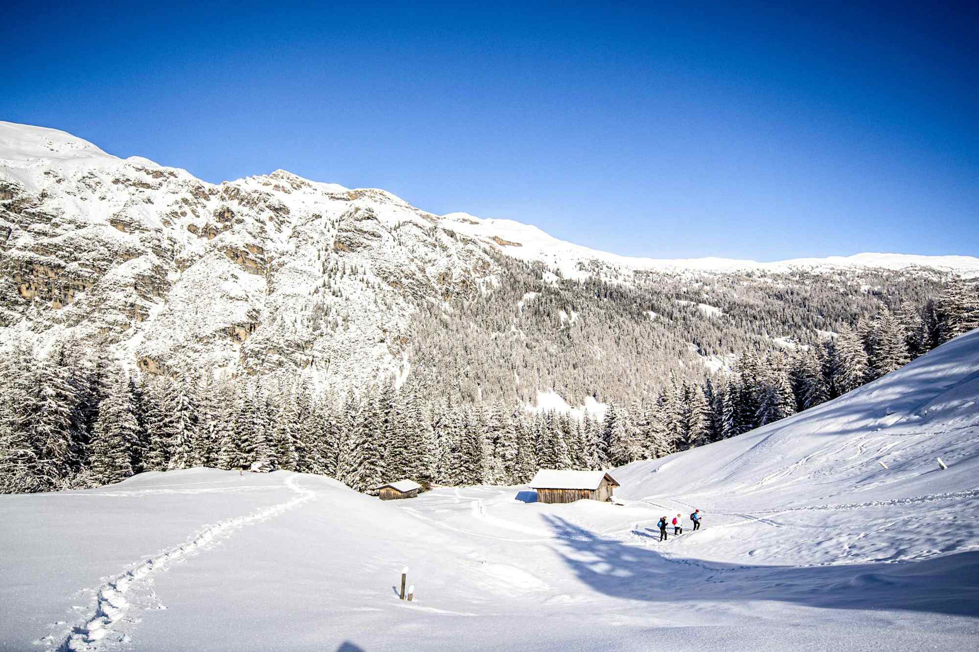 Vorbei an der Untereinsalm hinauf zum Obernberger See