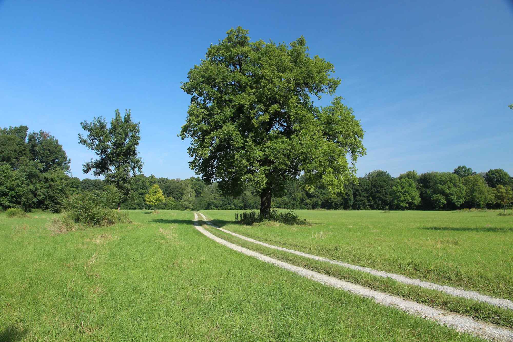 Auf der Großen Donaurunde Eckartsau