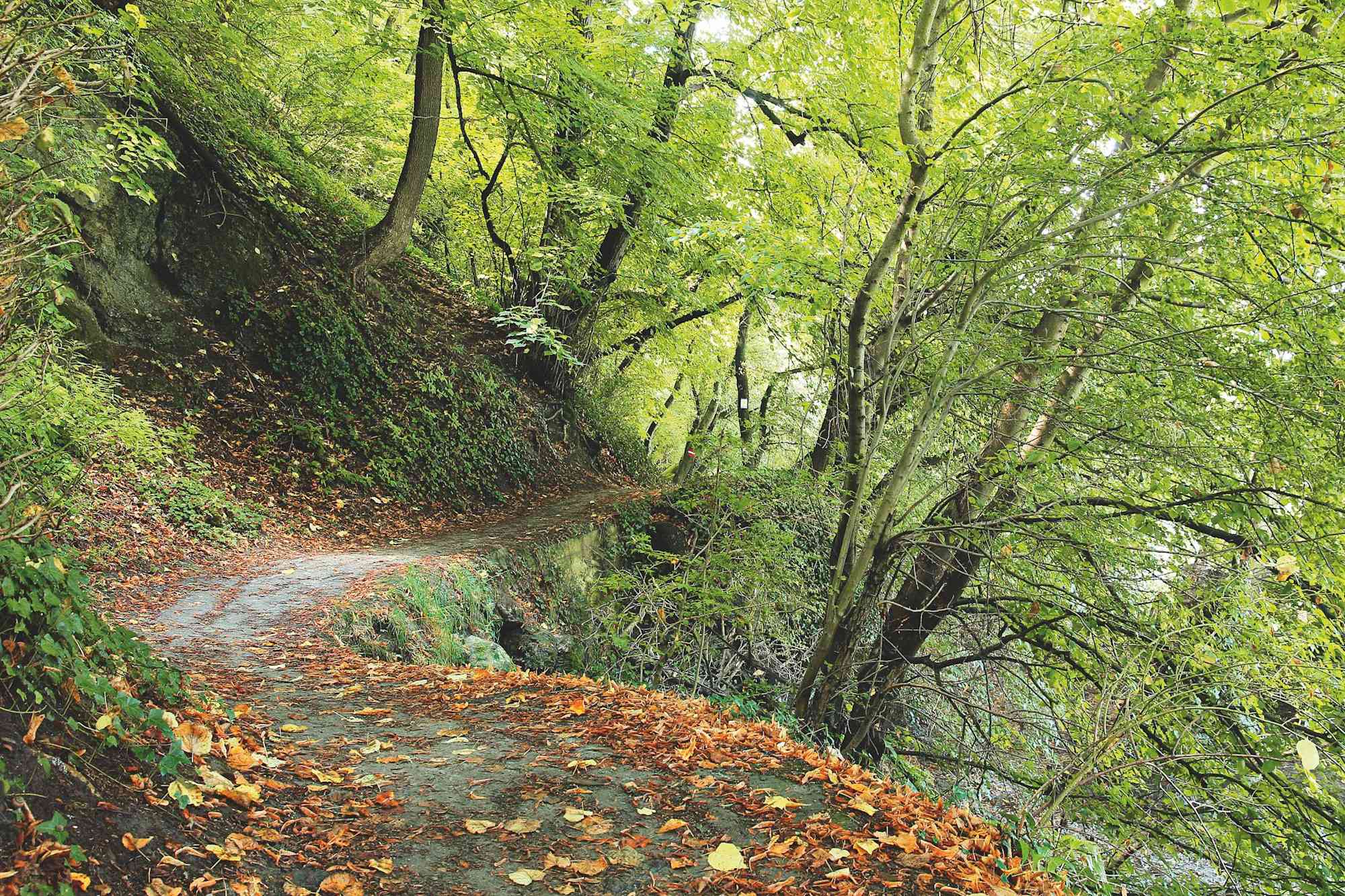 Wandern am Keltenweg