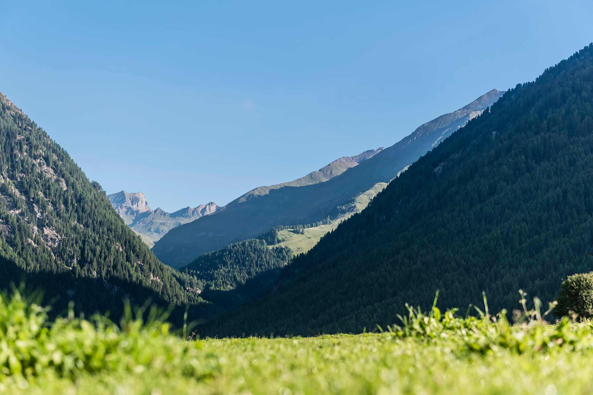 Unterwegs am Rotensteiner Höhenweg