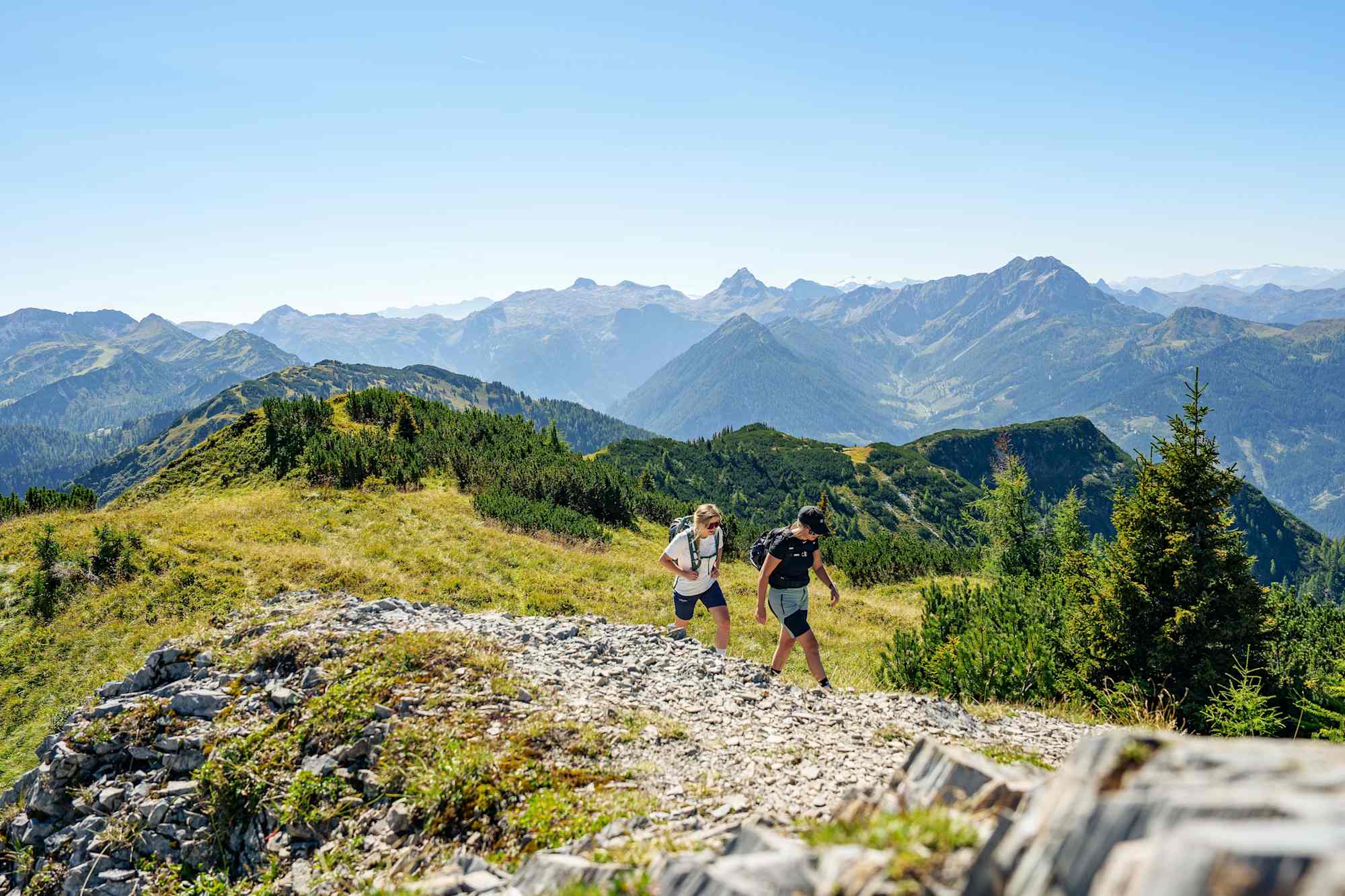Am Weg zum Lackenkogel