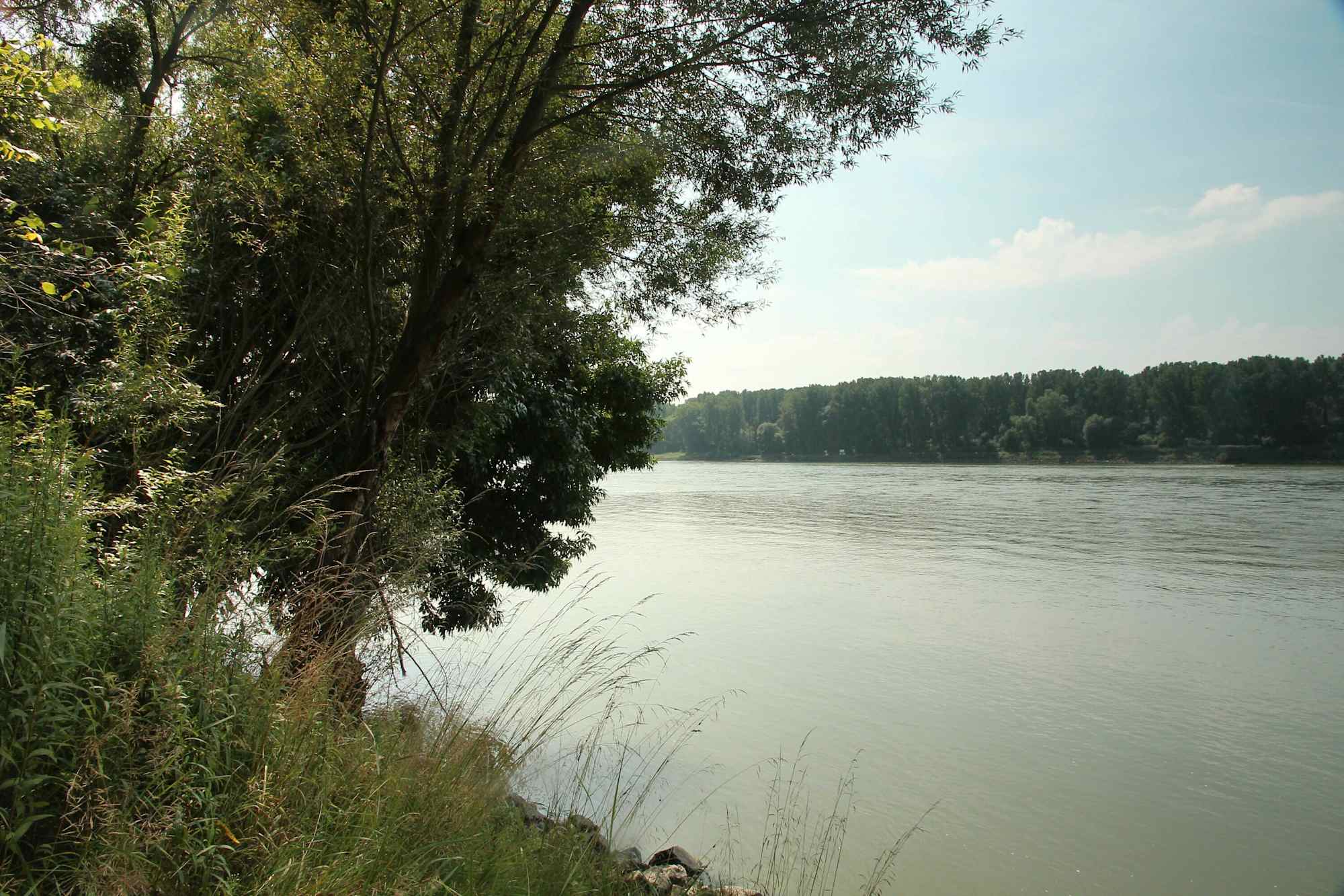 Auf der Großen Donaurunde Eckartsau
