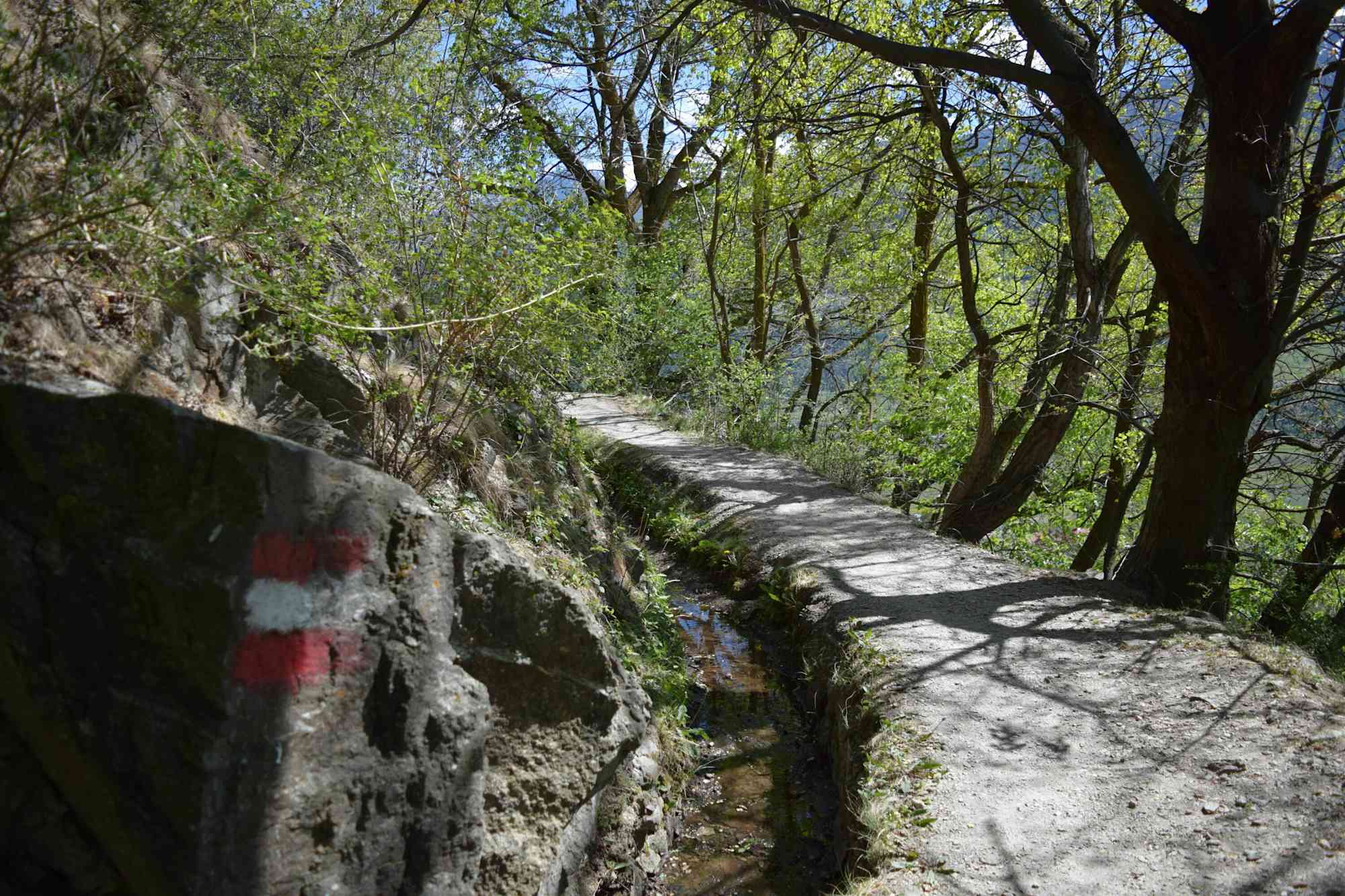 Der Zaalwaal bei Kortsch