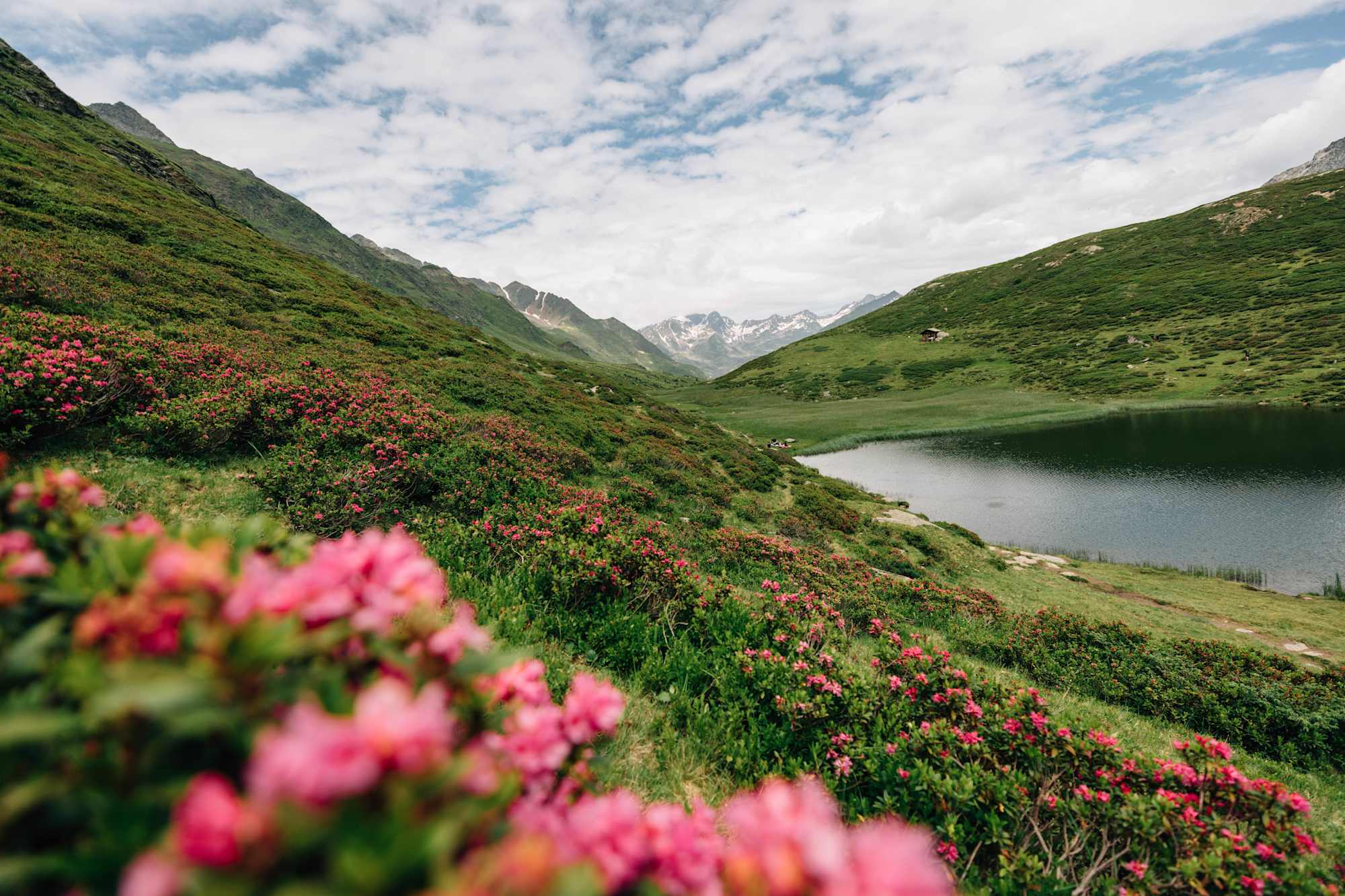Am Weg zur Speikspitze