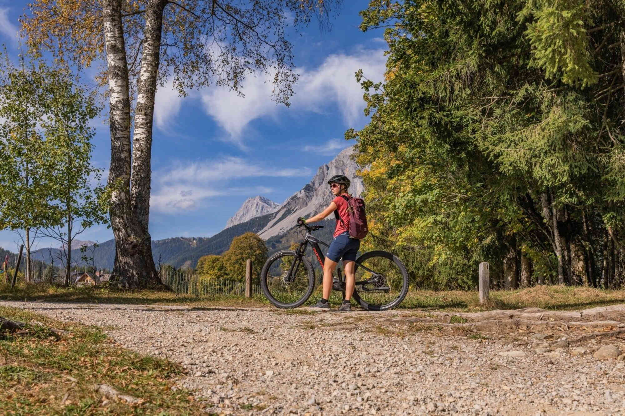 Blick auf den Dachstein