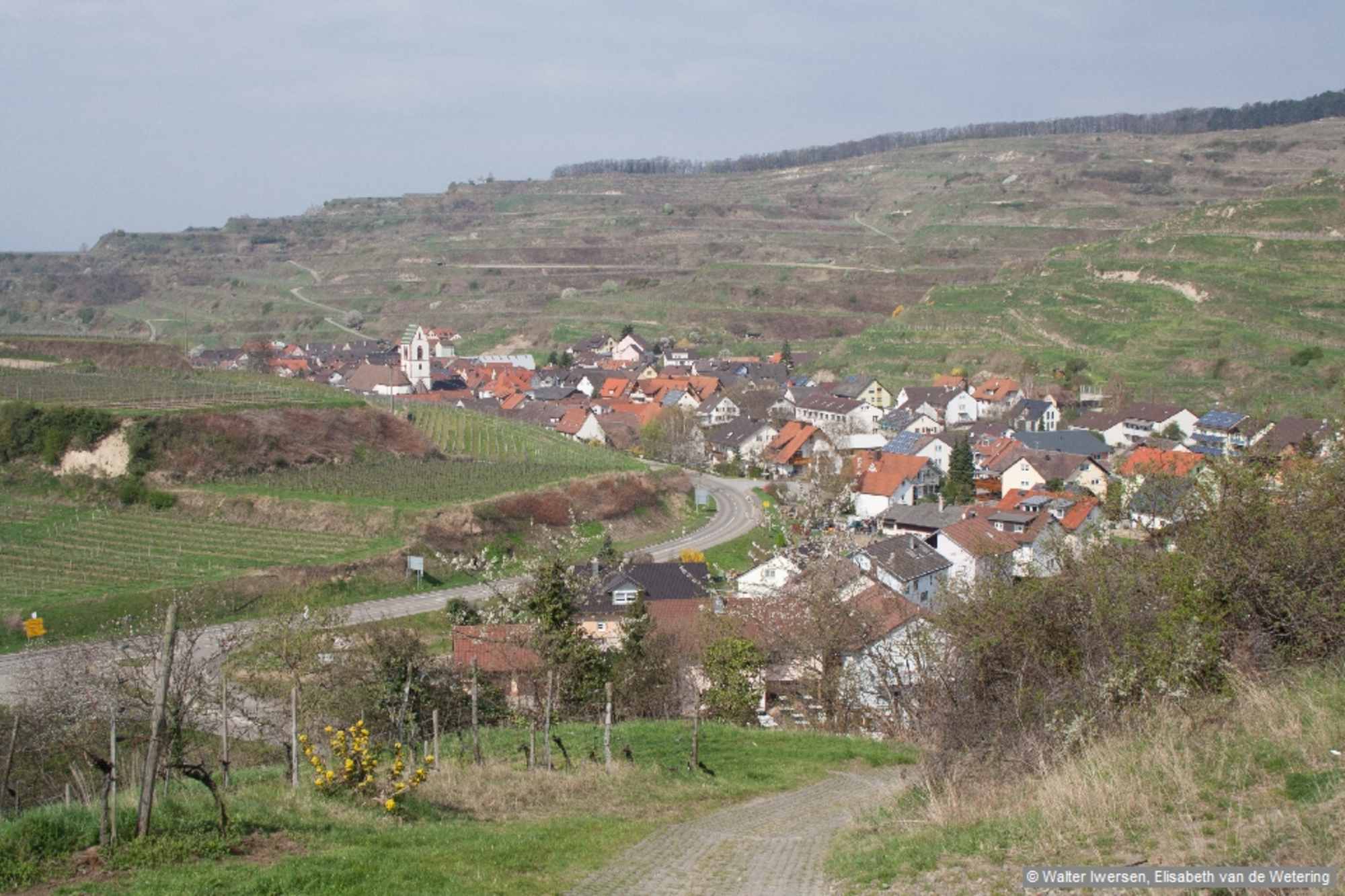 Ausgangspunkt: Oberbergen, Wanderparkplatz Mondhalde am Ortseingang