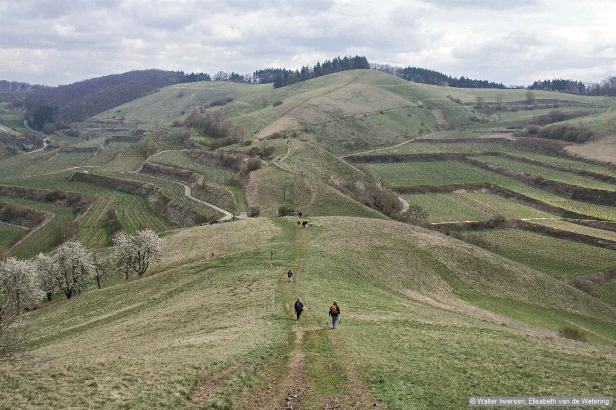 Auf dem Badbergkamm Richtung Degenmatten.