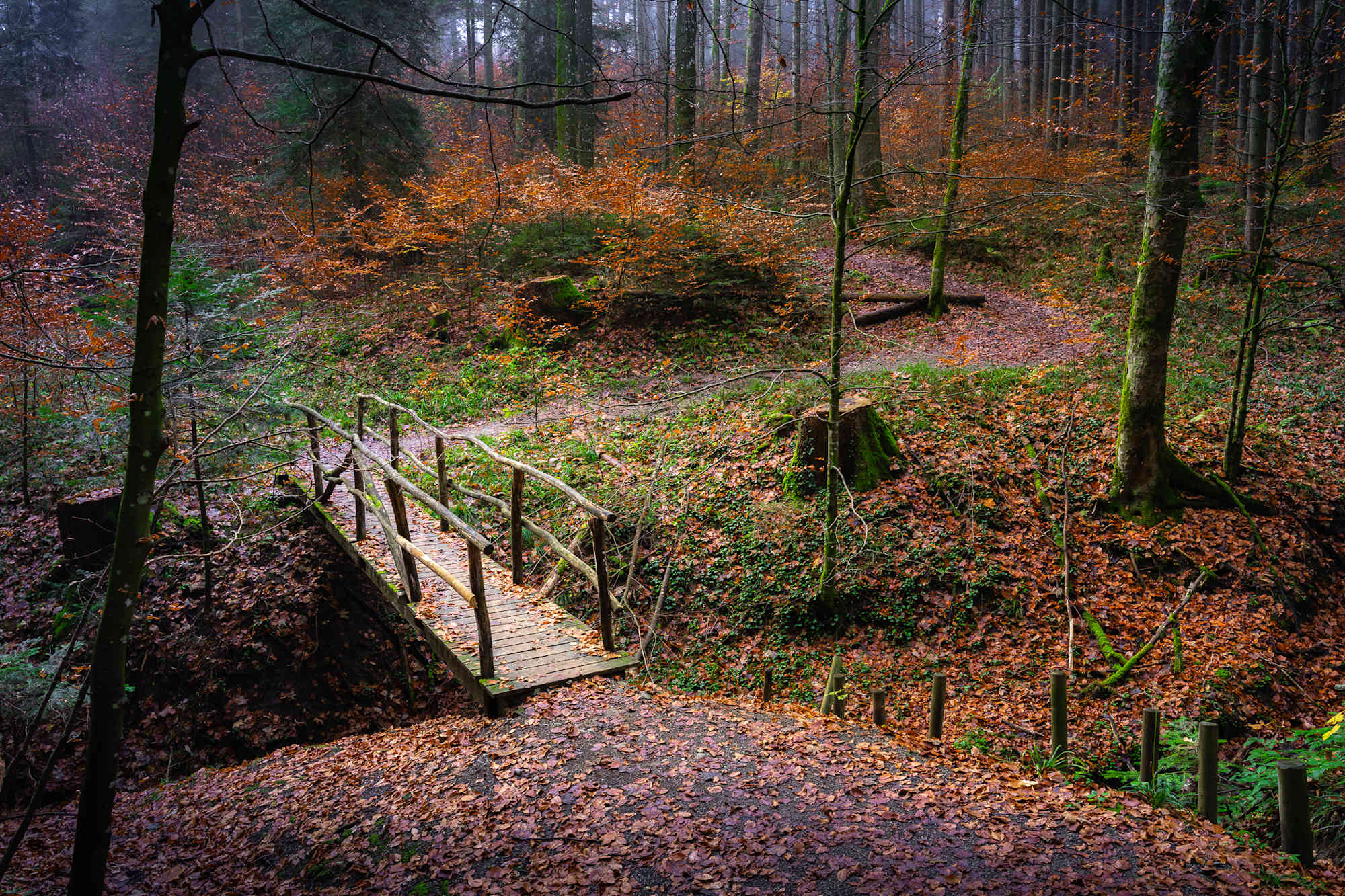 Bergtour auf den Höchsten