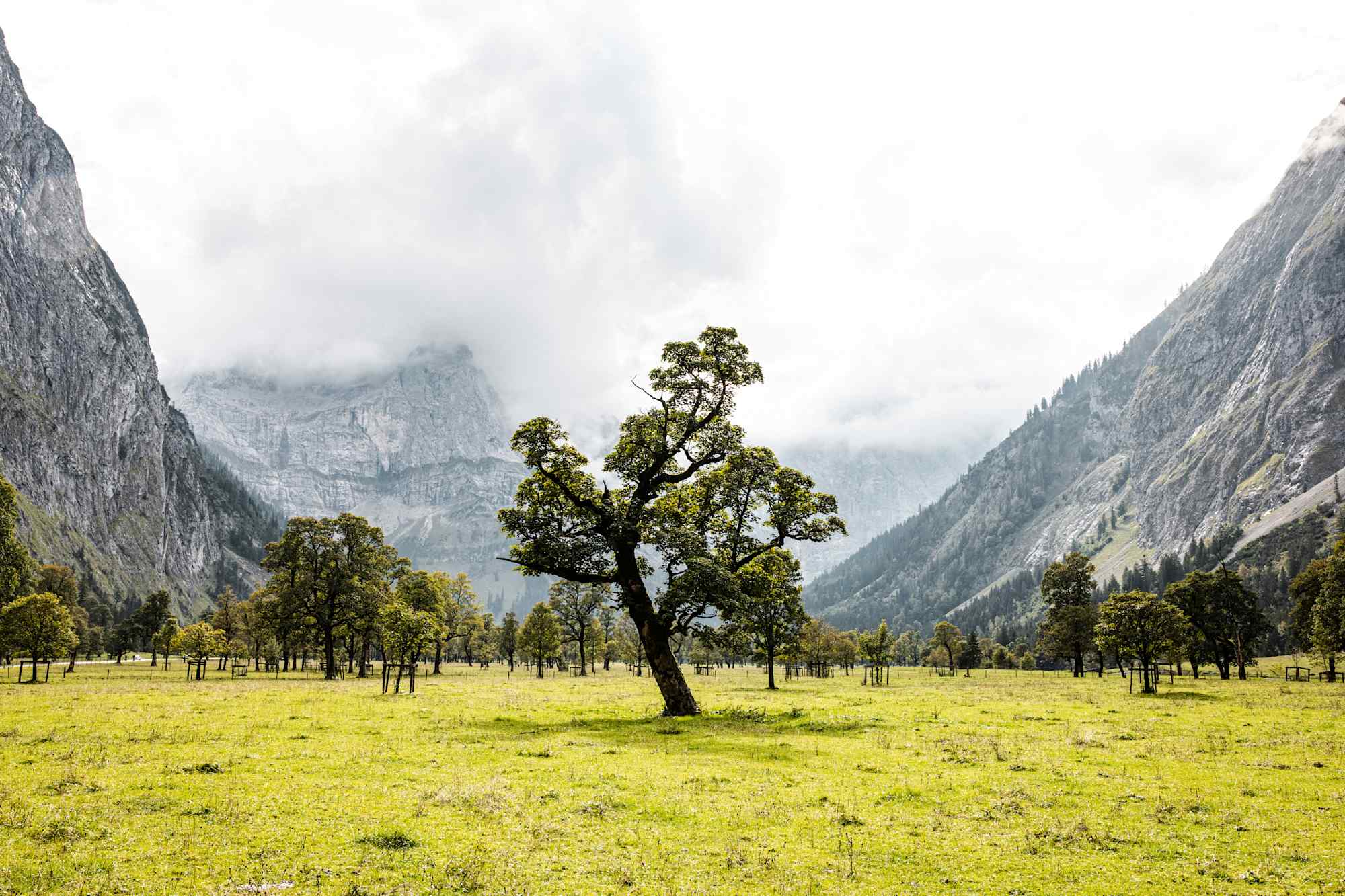 Der Ahornboden im Karwendel