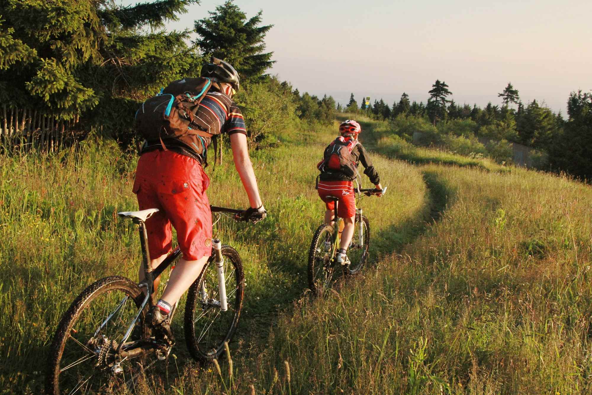 Mountainbiken im Erzgebirge