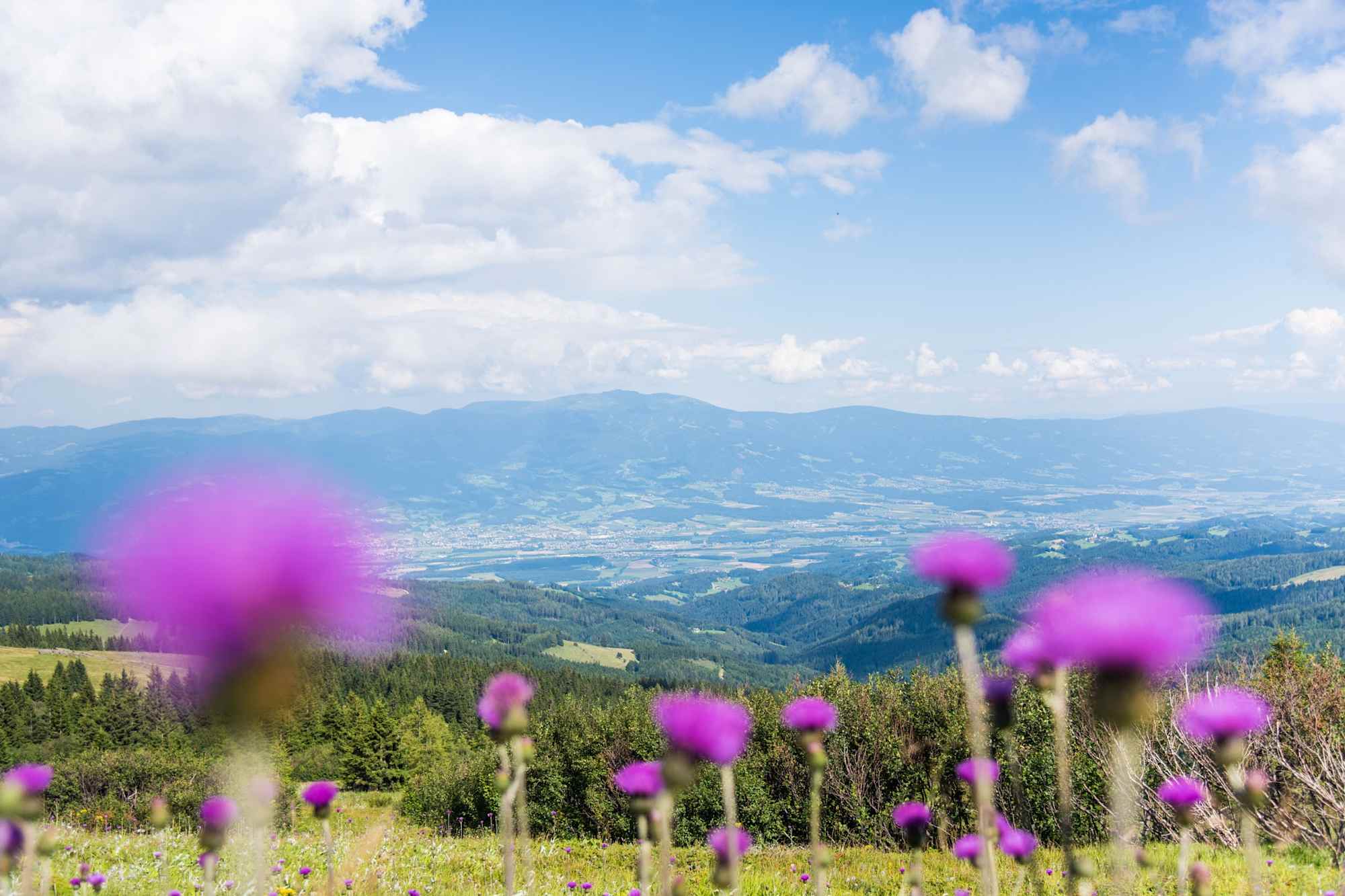 Blick auf das Lavanttal