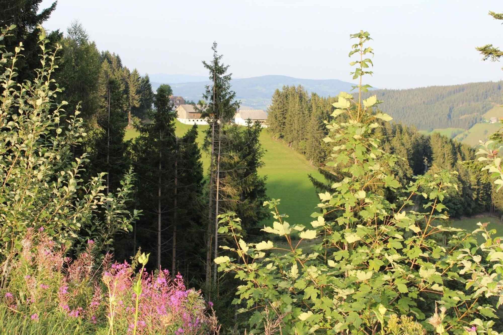 Brandlucken Ausblick